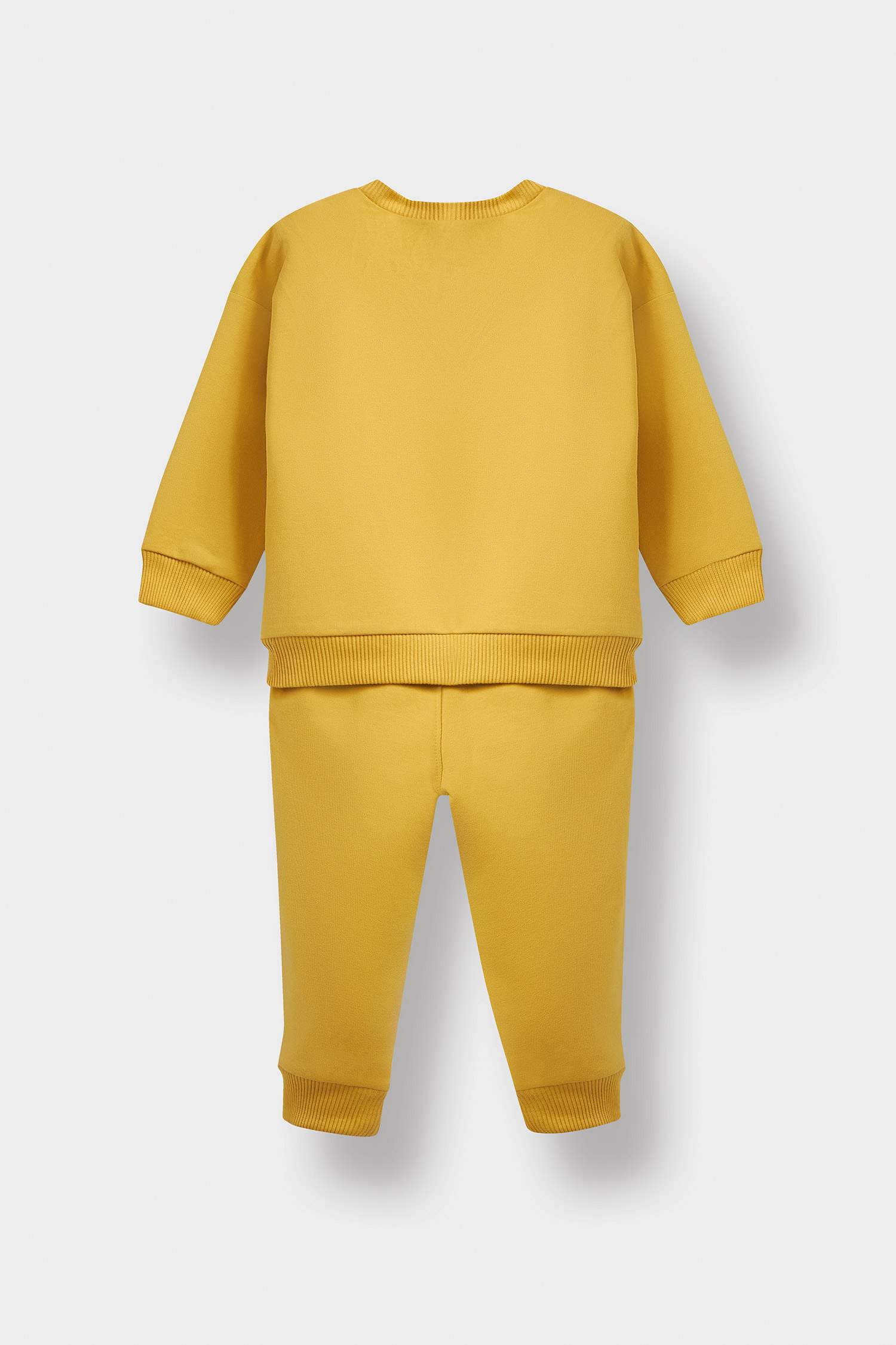 Baby Boy Dinosaur Printed Sweatshirt Sweatpants 2 piece Set