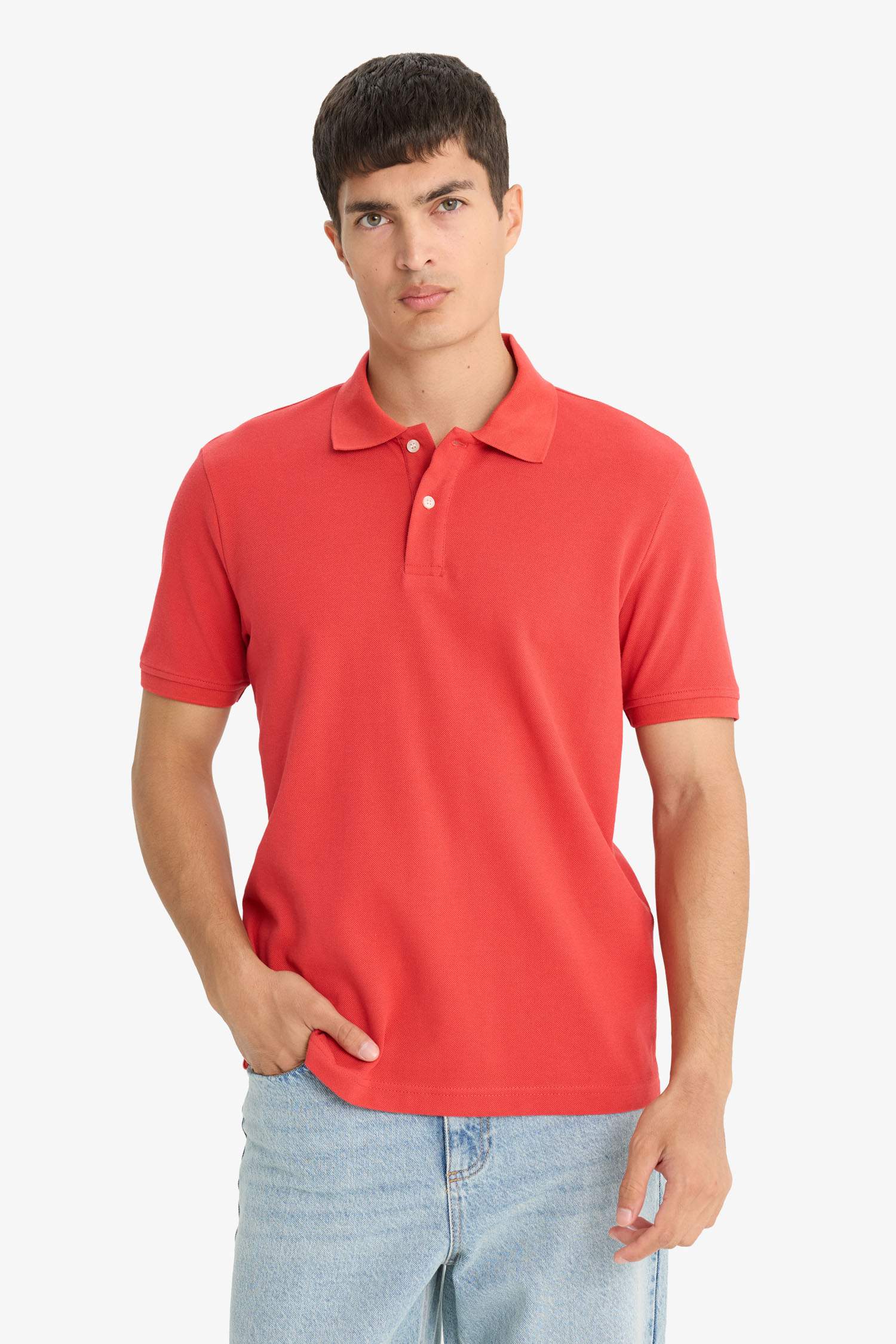 Regular Fit Polo Yaka Pike Kısa Kollu Tişört