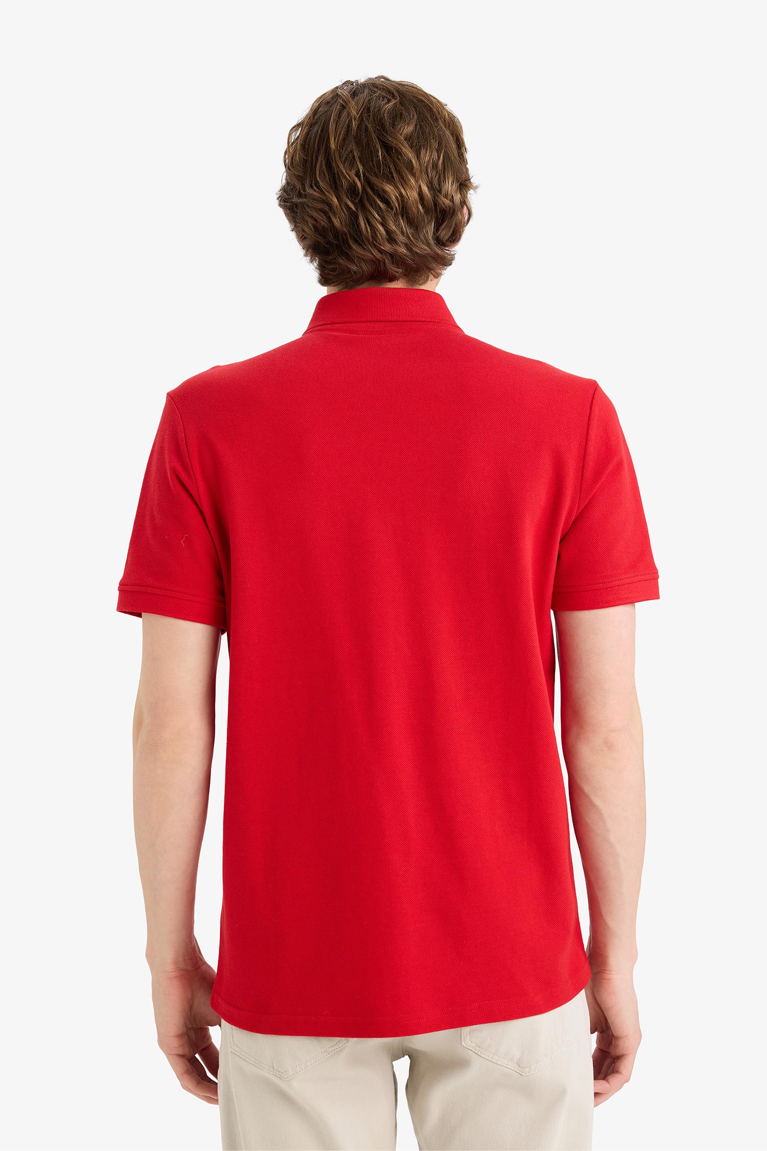 DeFacto %100 Pamuk Regular Fit Polo Tişört görsel 5
