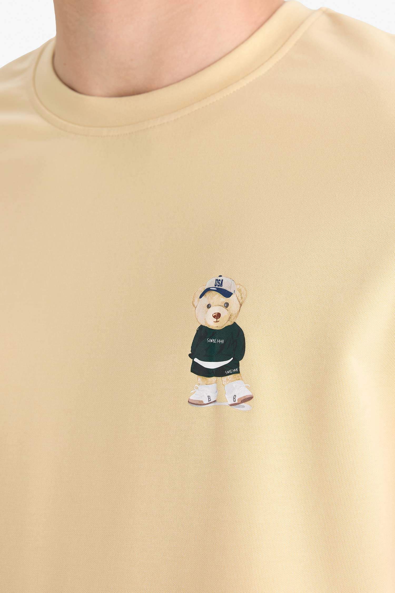 Regular Fit Bisiklet Yaka Baskılı Kısa Kollu Tişört