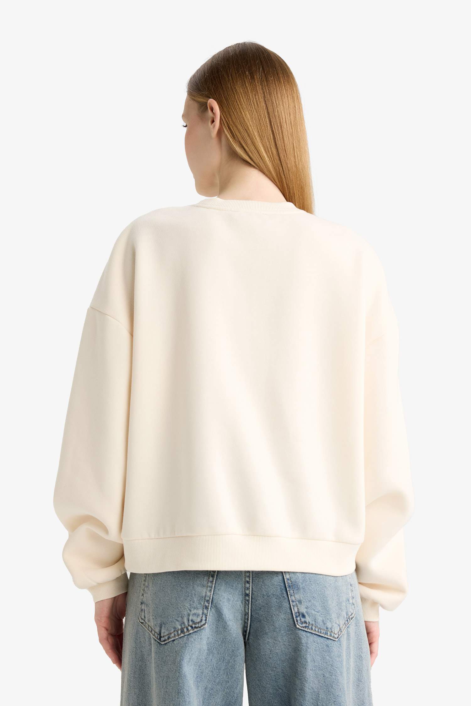 Regular Fit Garfield Printed Sweatshirt