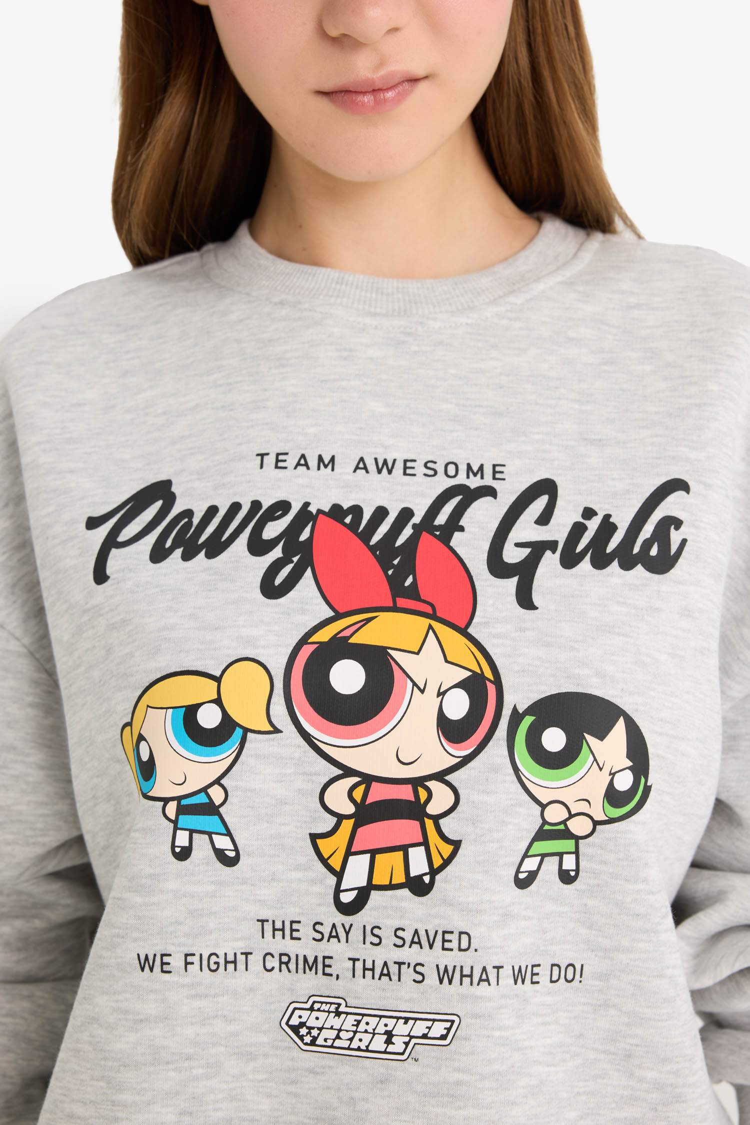 Coool PowerPuff Girls, регулярный крой, свитер с круглым вырезом, с принтом, из плотного материала