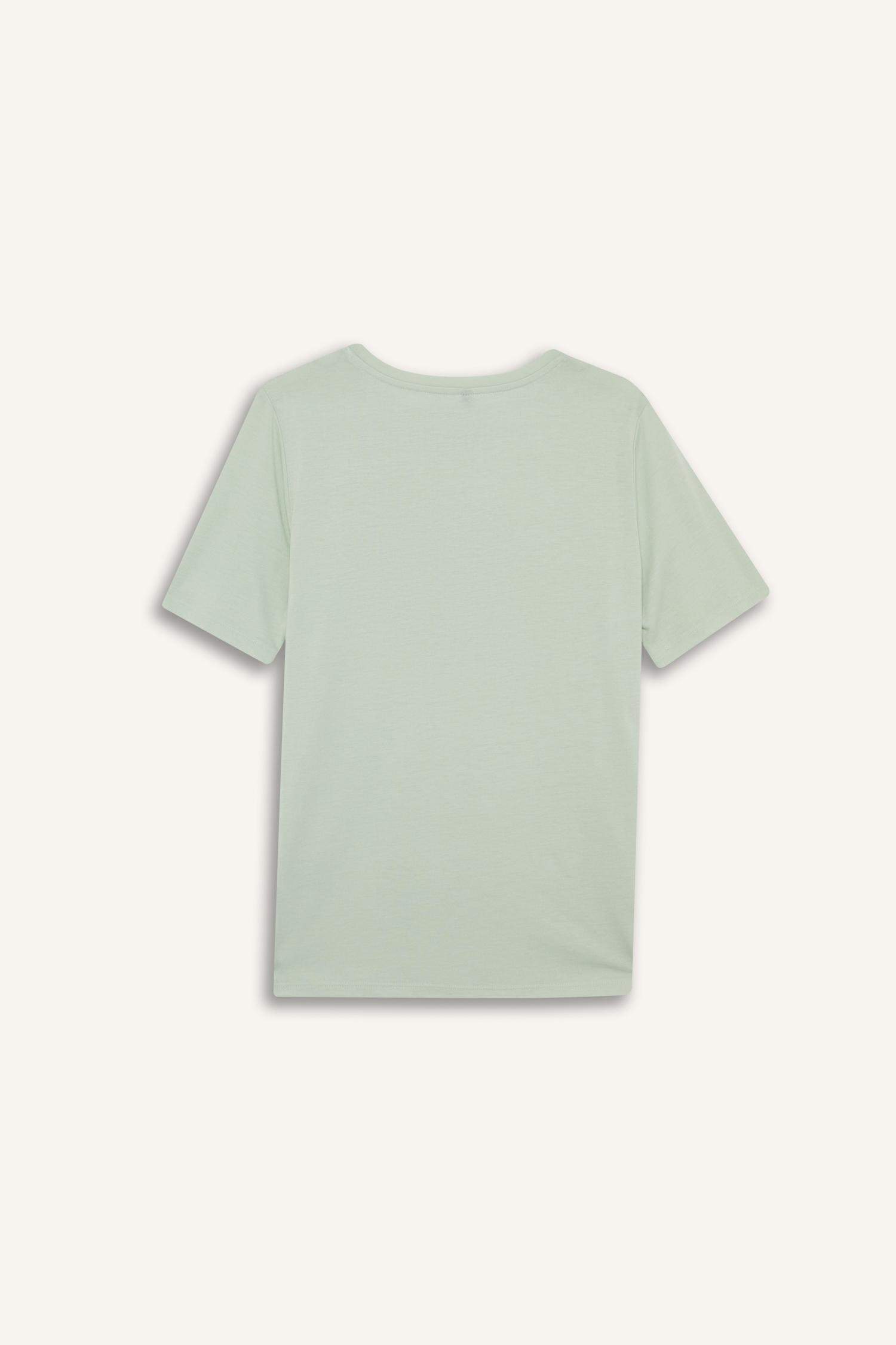 Regular Fit Crew Neck Printed T-Shirt