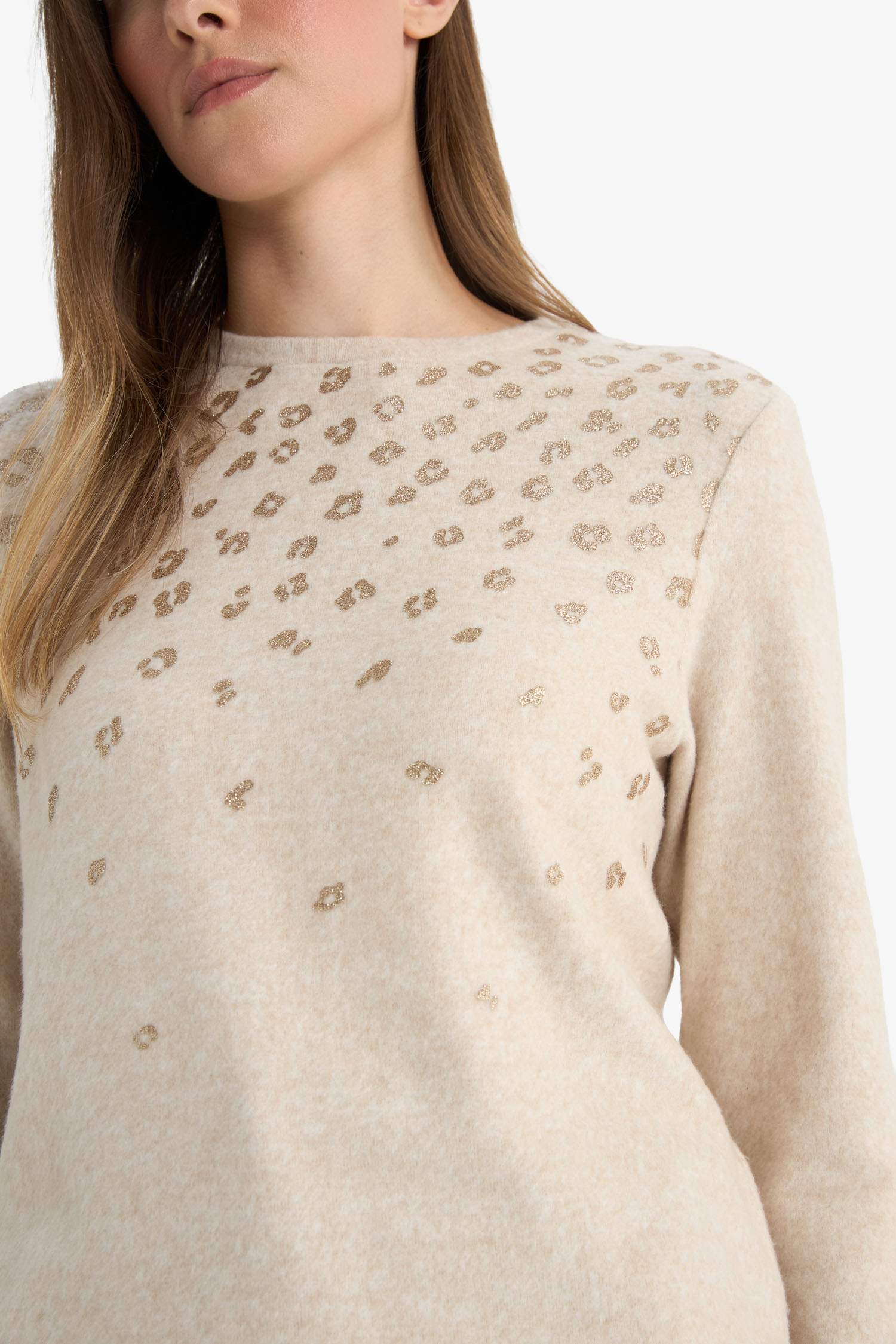 Regular Fit Bisiklet Yaka Taş Detaylı Uzun Kollu Tişört