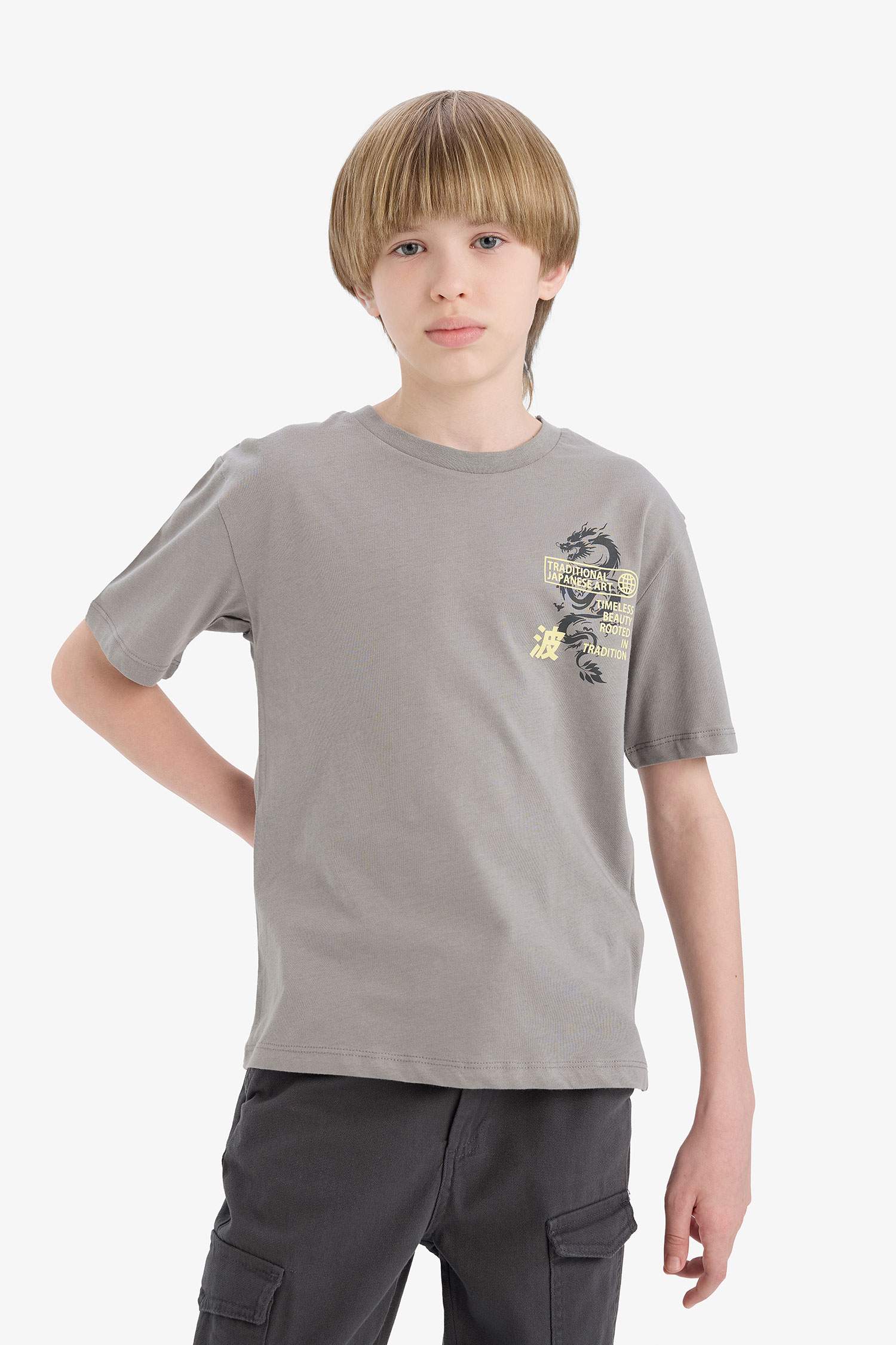 Boy New Regular Fit Crew Neck T-Shirt