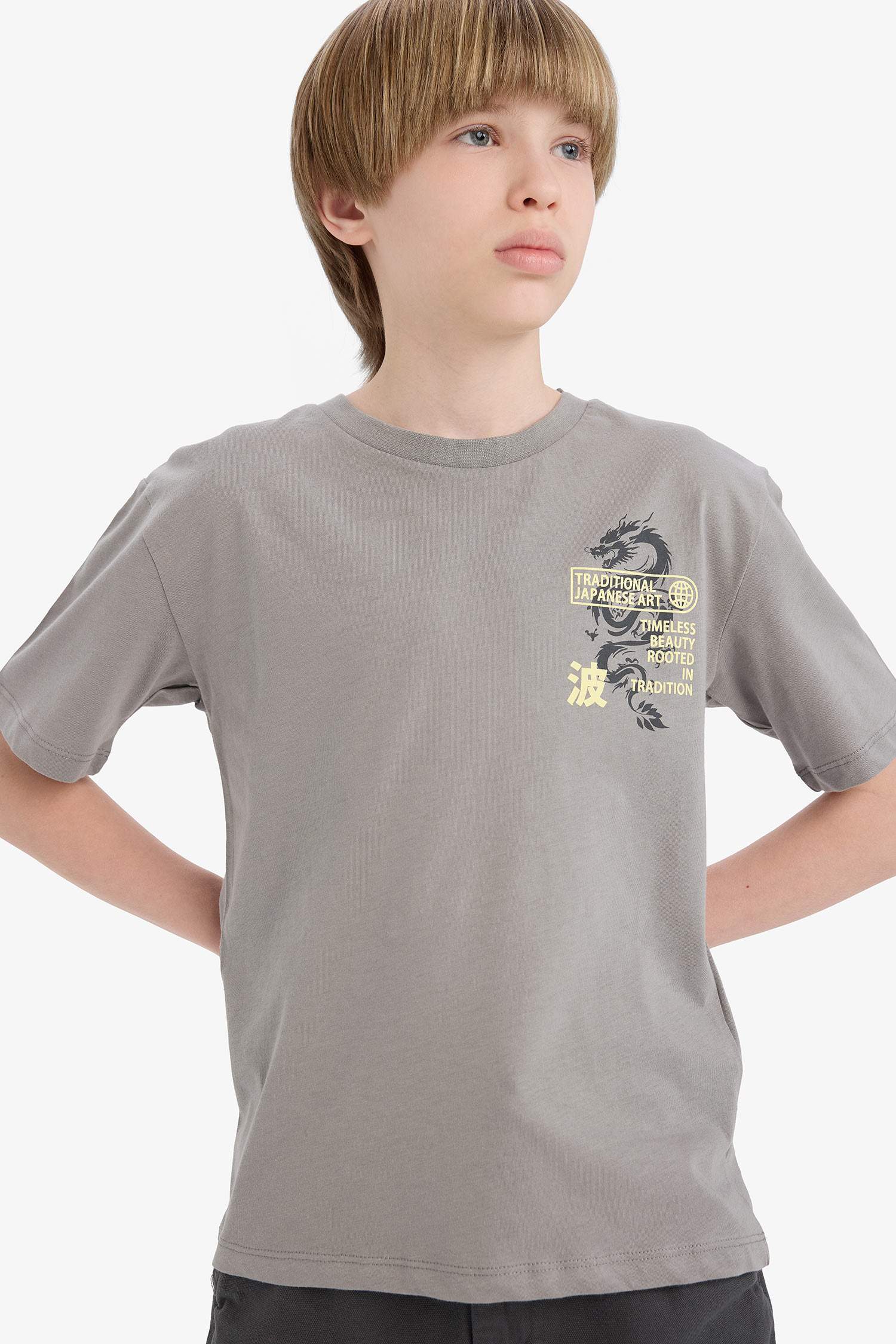 Boy New Regular Fit Crew Neck T-Shirt