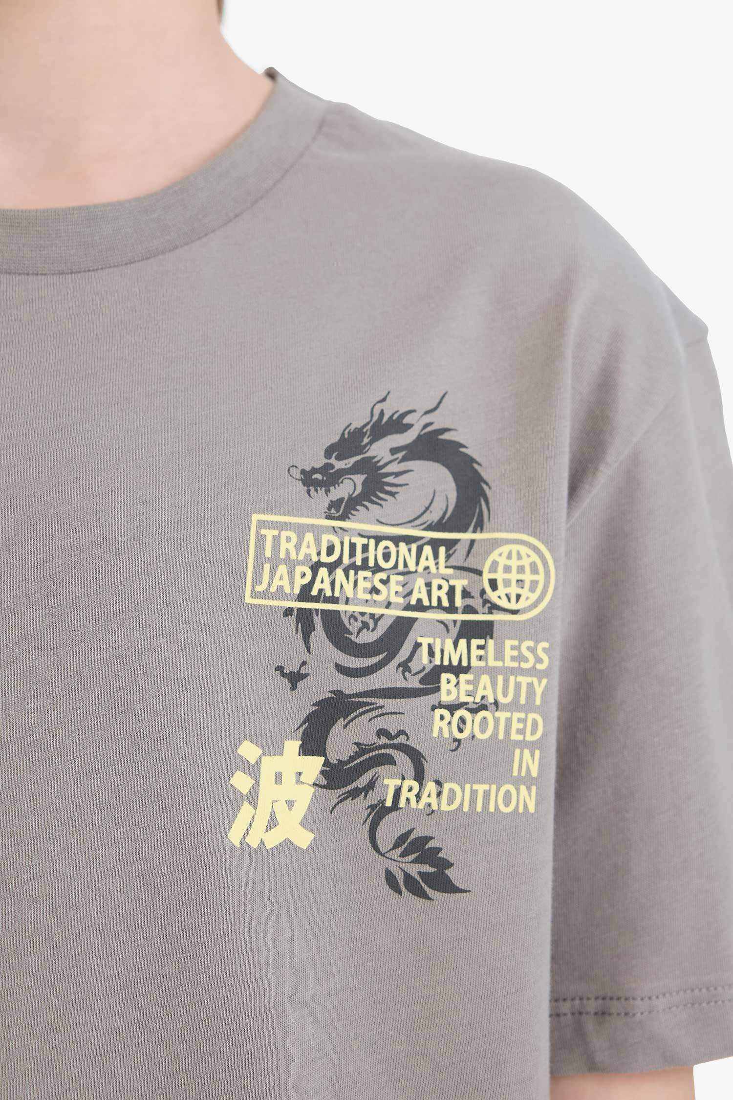 Boy New Regular Fit Crew Neck T-Shirt