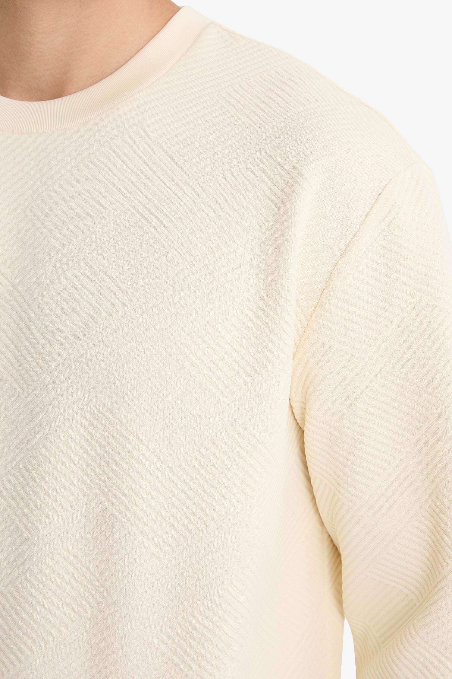 سويت شيرت قصة عادية برقبة مستديرة