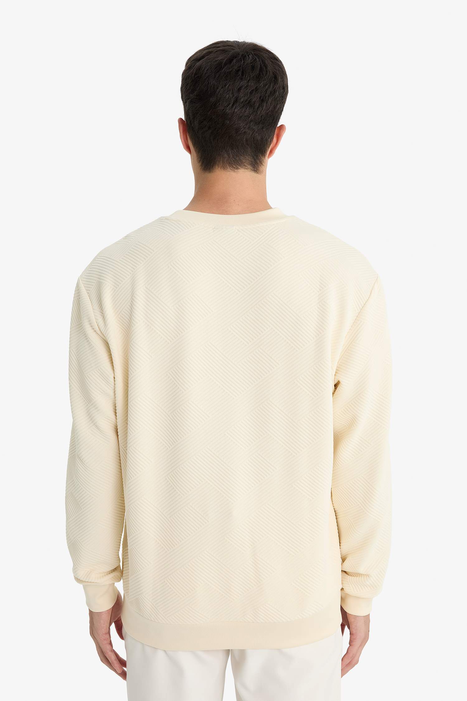 سويت شيرت قصة عادية برقبة مستديرة