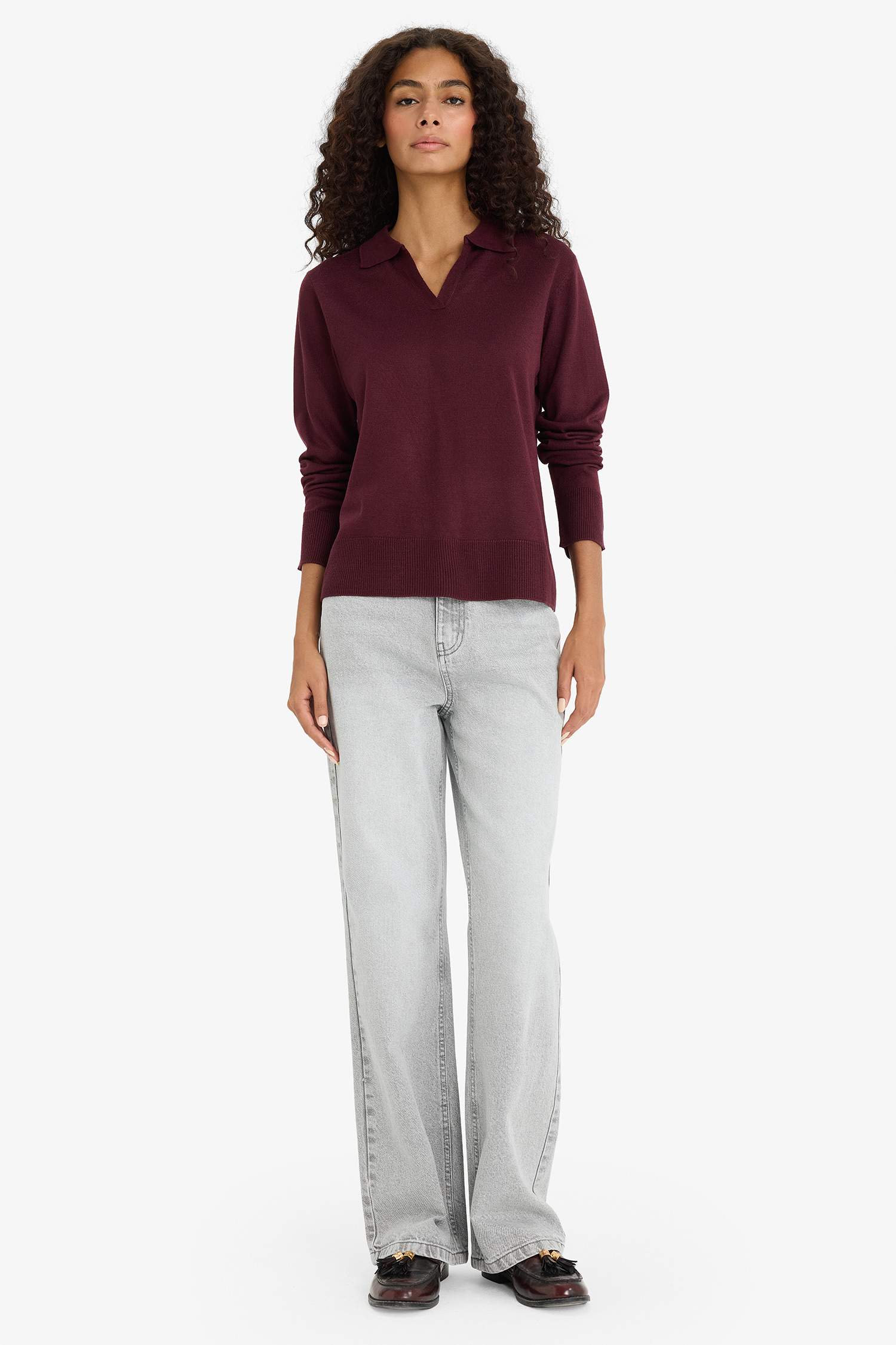 Regular Fit Polo Neck Knit Pullover