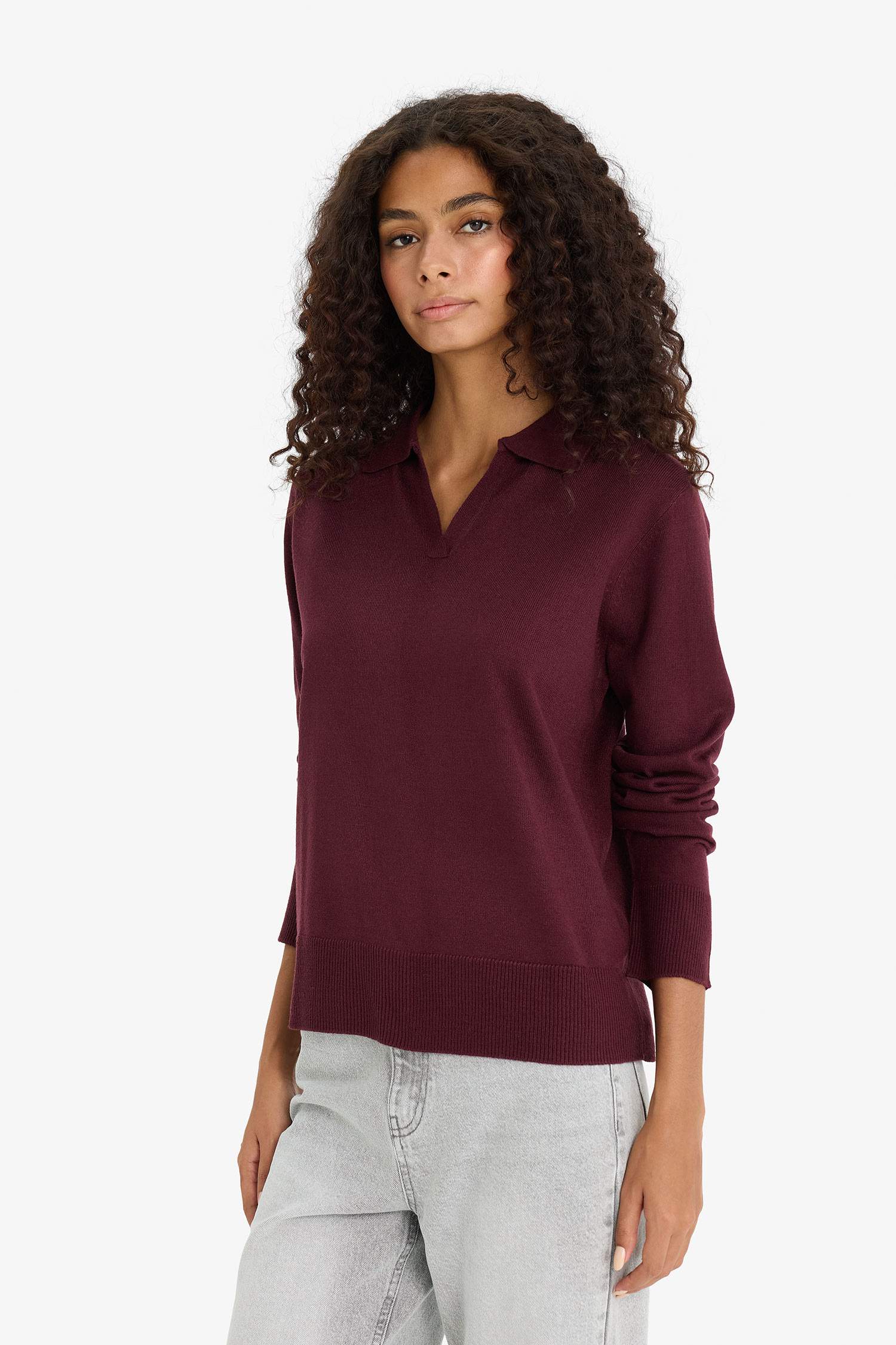Regular Fit Polo Neck Knit Pullover
