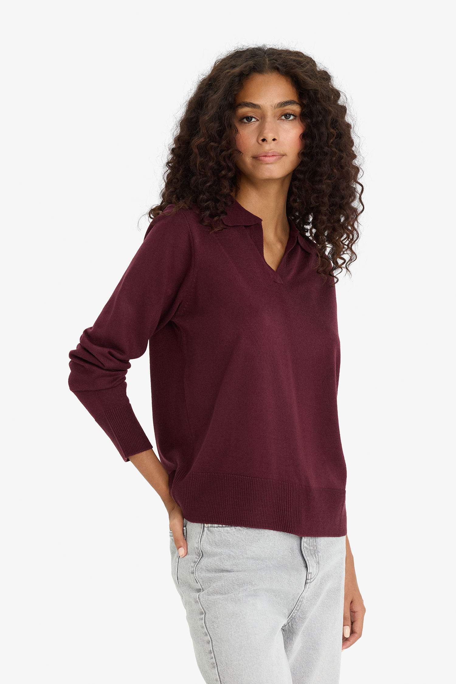 Regular Fit Polo Neck Knit Pullover