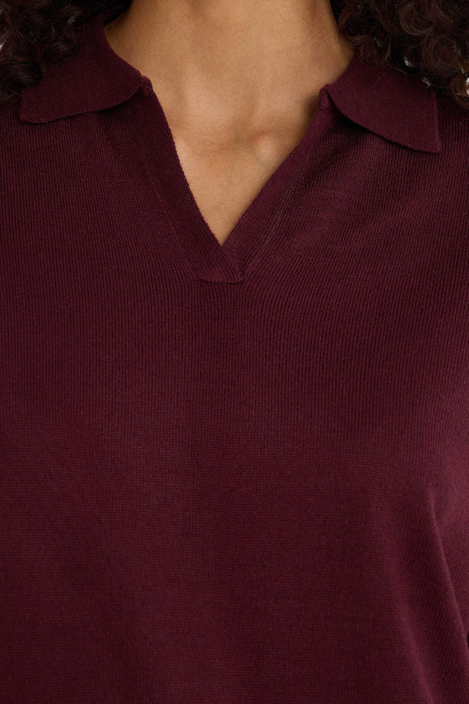 Regular Fit Polo Neck Knit Pullover