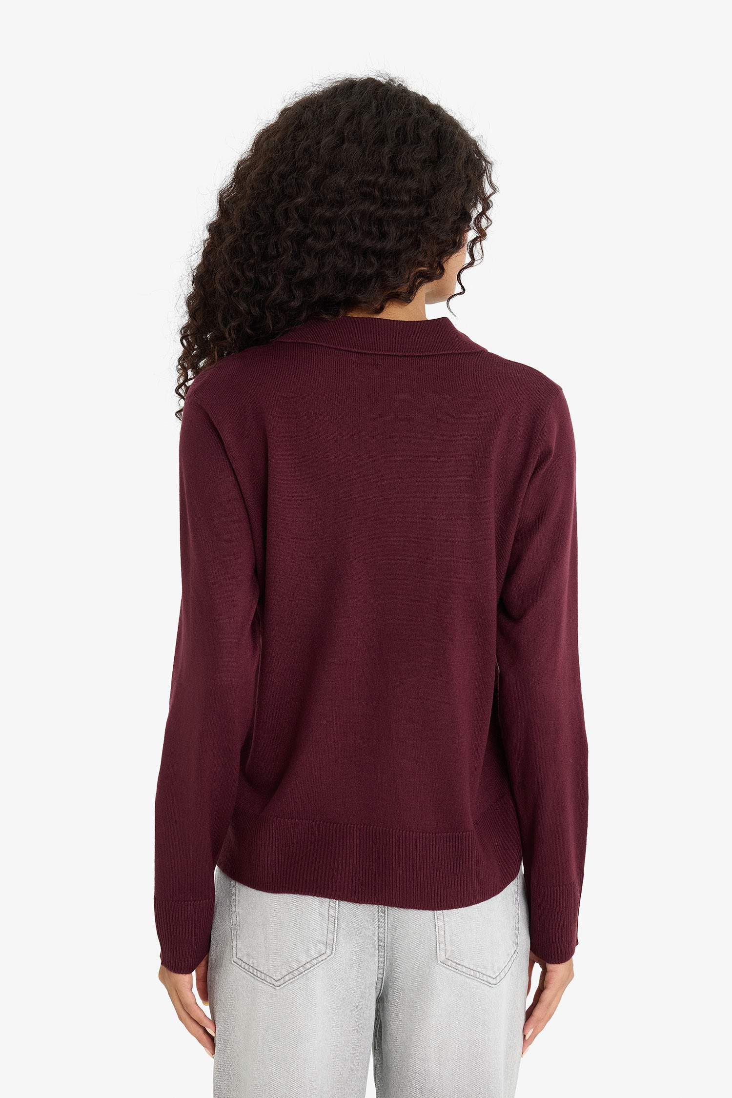 Regular Fit Polo Neck Knit Pullover