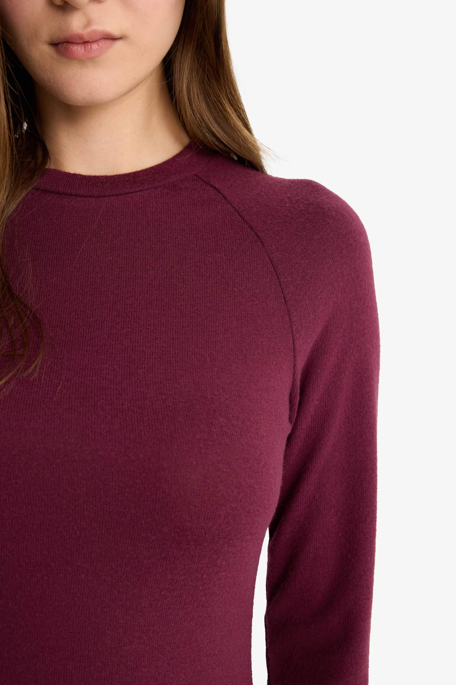 Crew Neck Long Sleeve Mini Dress