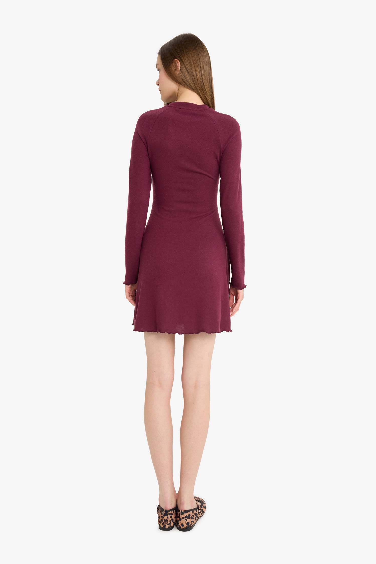 Crew Neck Long Sleeve Mini Dress