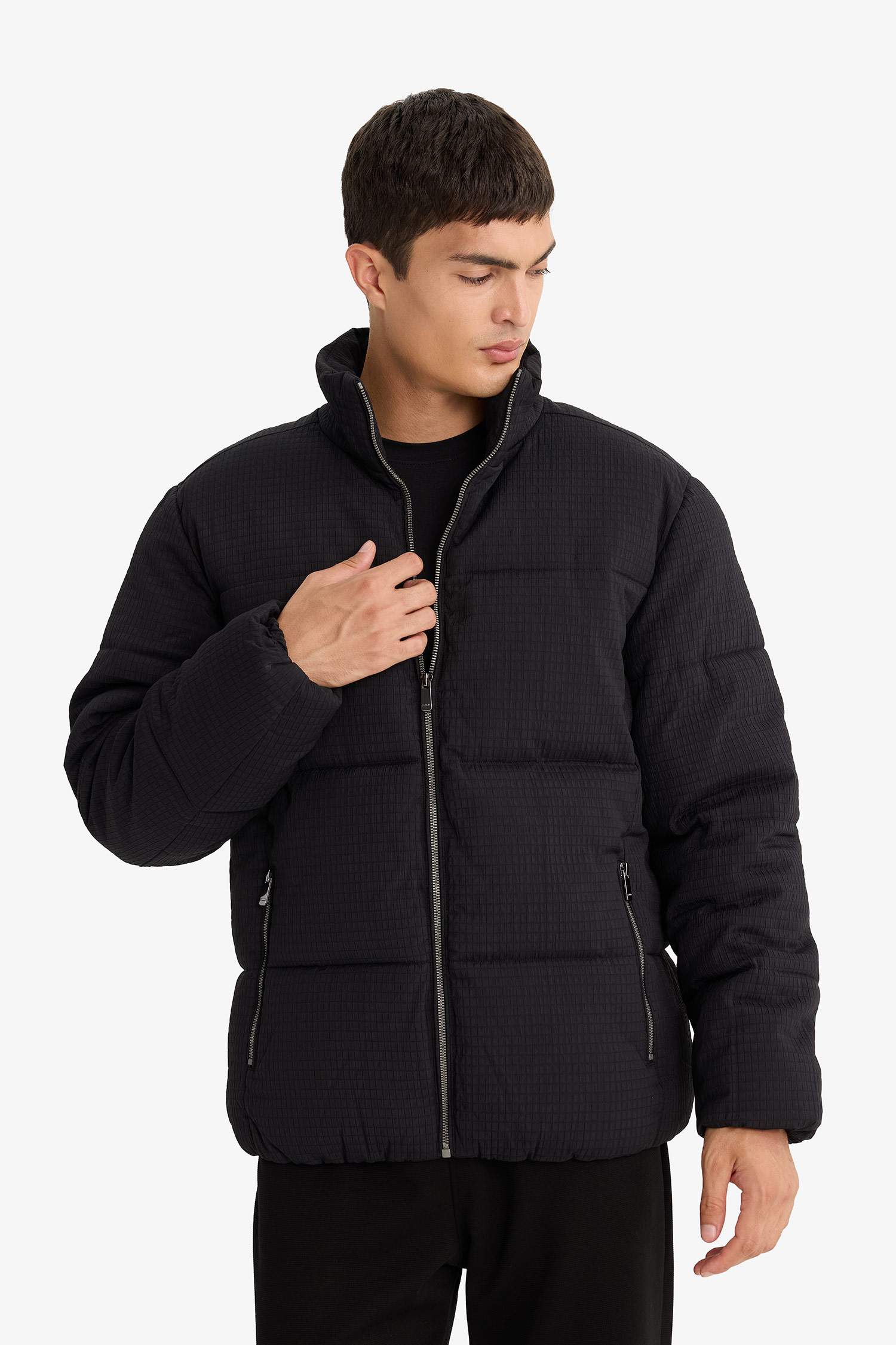 Regular Fit Stand Collar Lined Winter Puffer Jacket