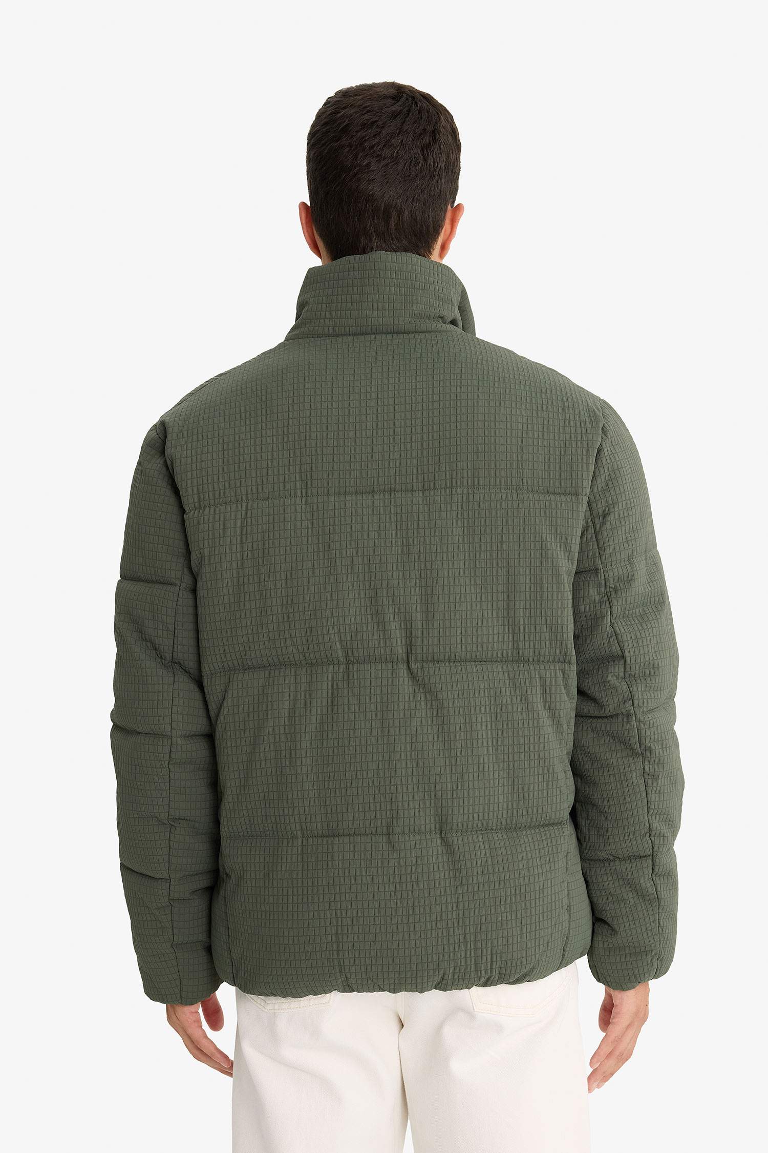 Regular Fit Dik Yaka Astarlı Fermuarlı Cepli Kışlık Mont