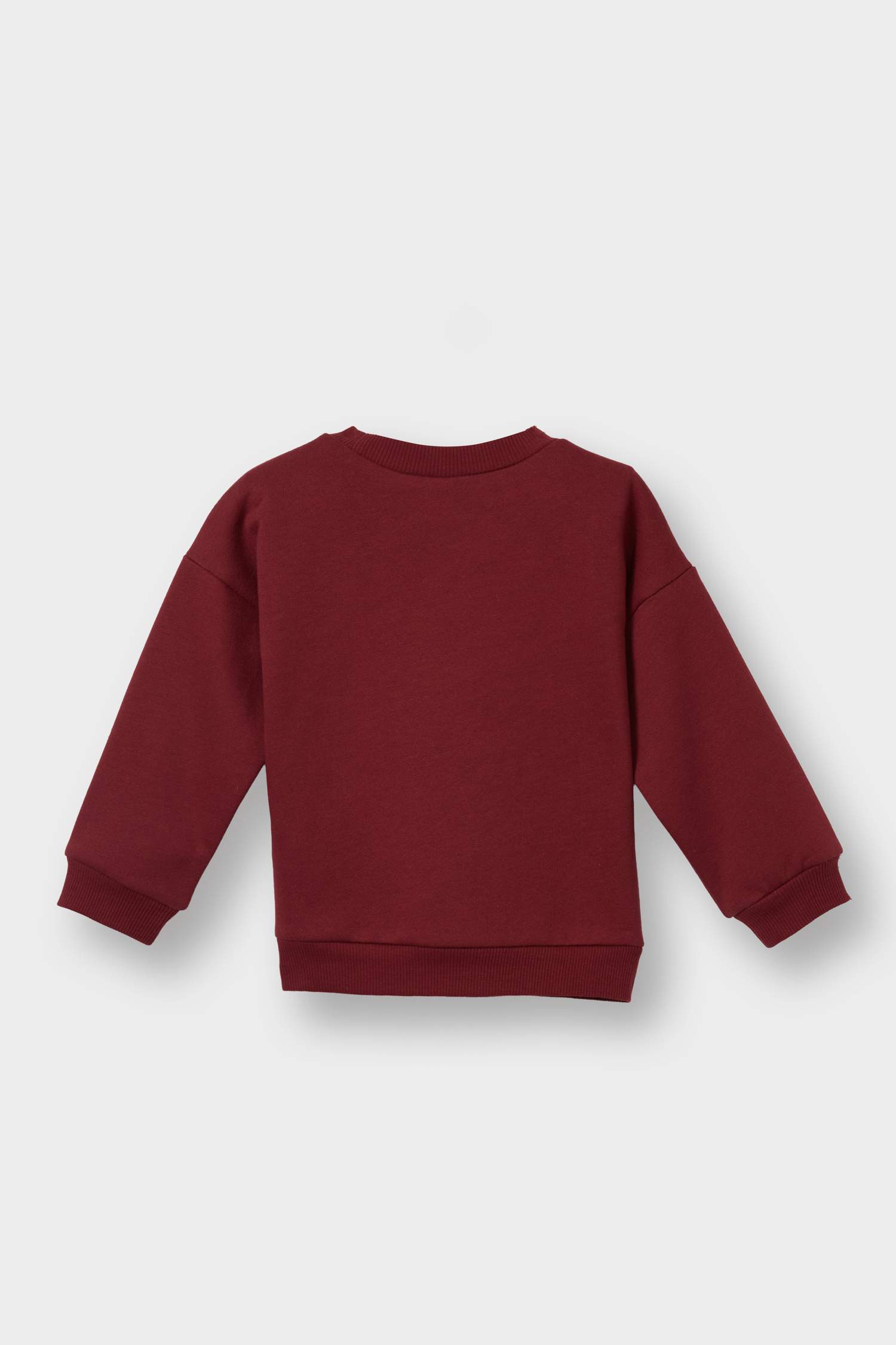 Kız Bebek Bisiklet Yaka Baskılı İçi Yumuşak Tüylü Sweatshirt