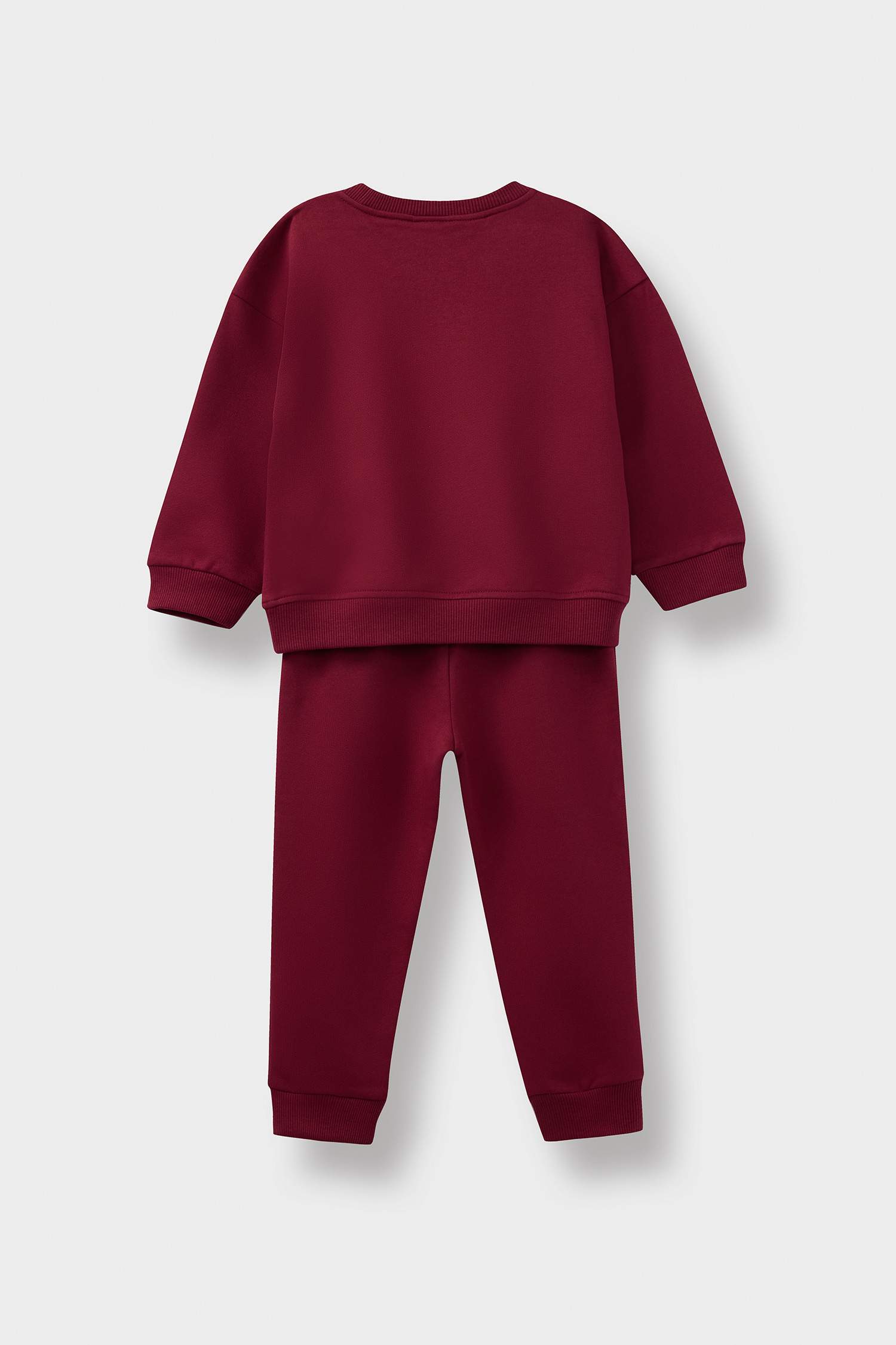 Baby Girl Printed Sweatshirt Sweatpants 2 Piece Set