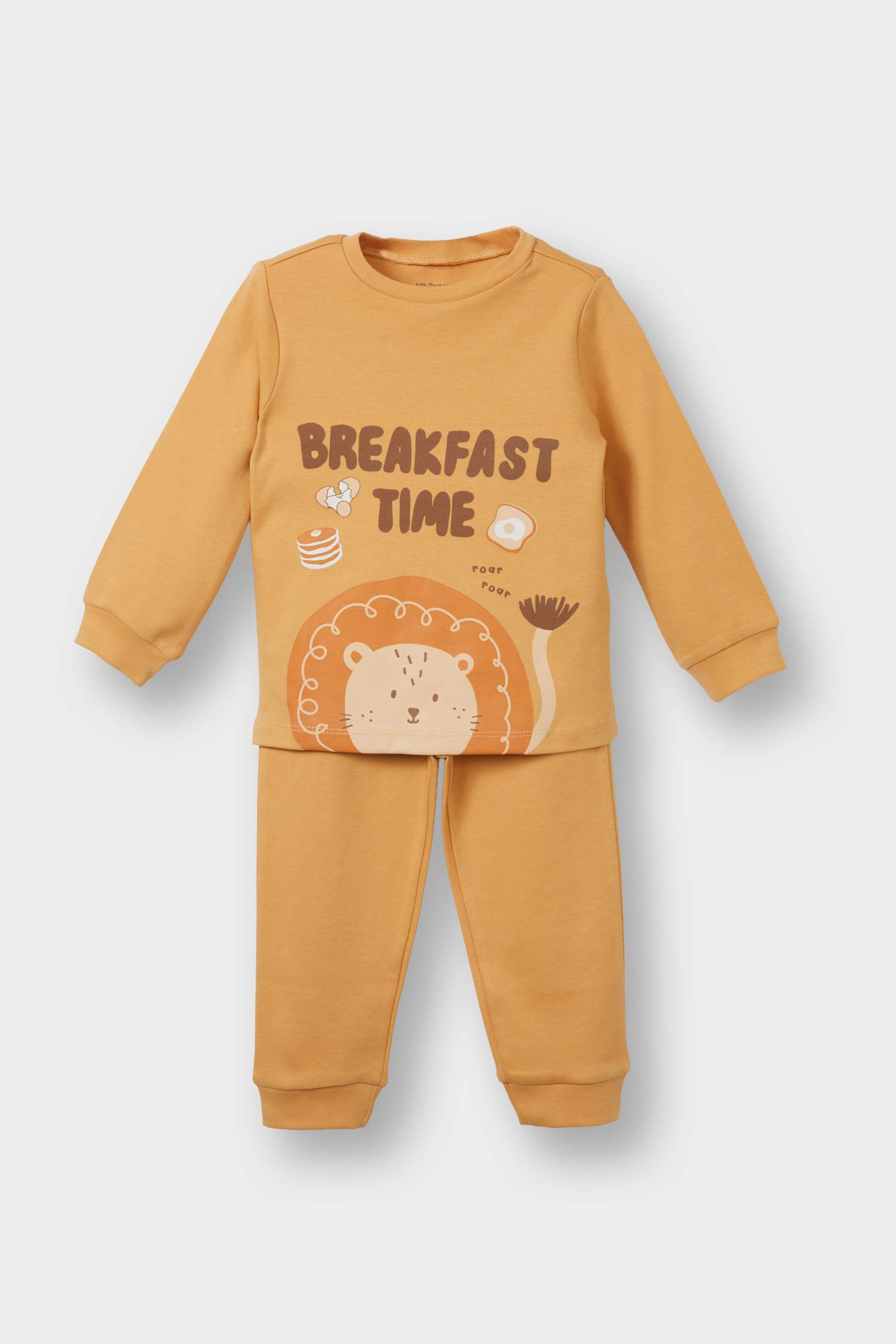 Baby Boy Lion Printed Long Sleeve 2 Piece Pajama Set