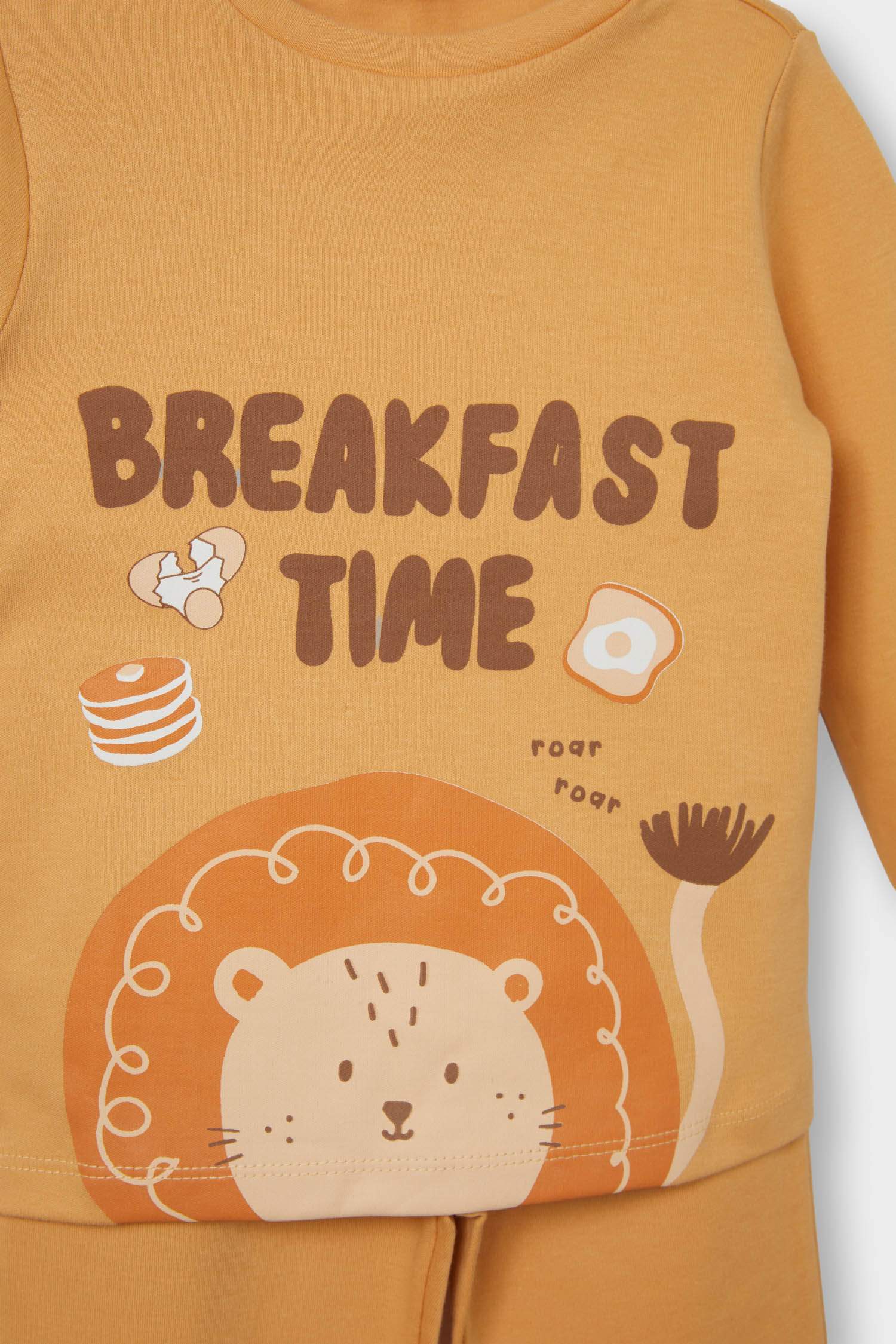 Baby Boy Lion Printed Long Sleeve 2 Piece Pajama Set