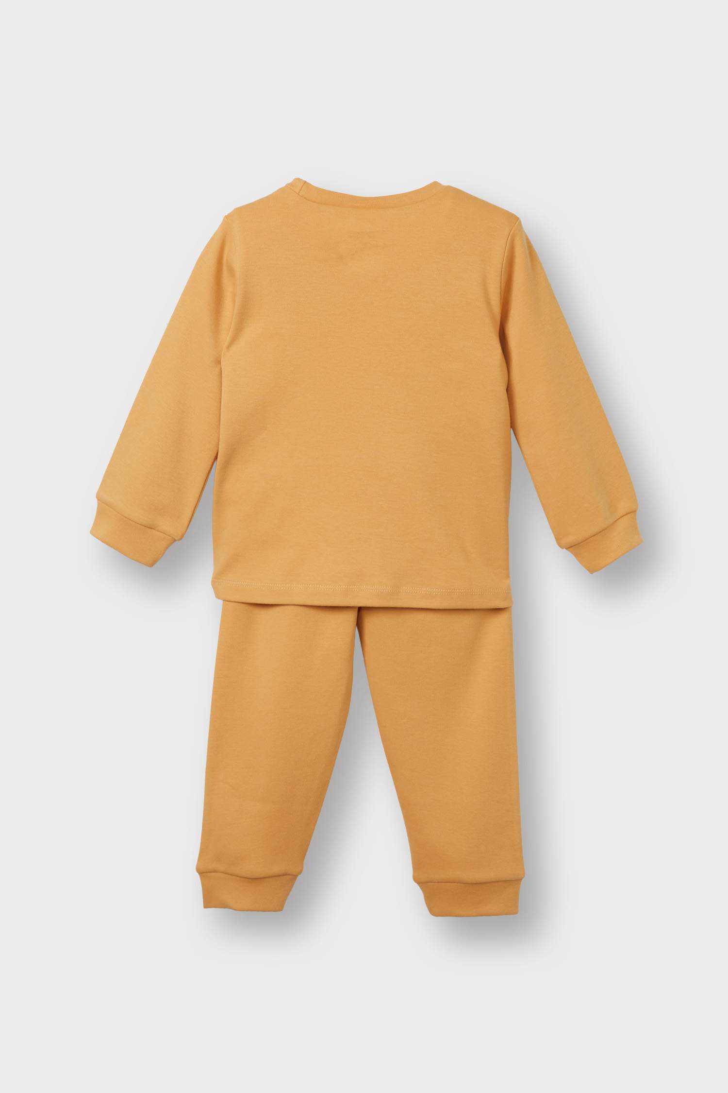 Baby Boy Lion Printed Long Sleeve 2 Piece Pajama Set