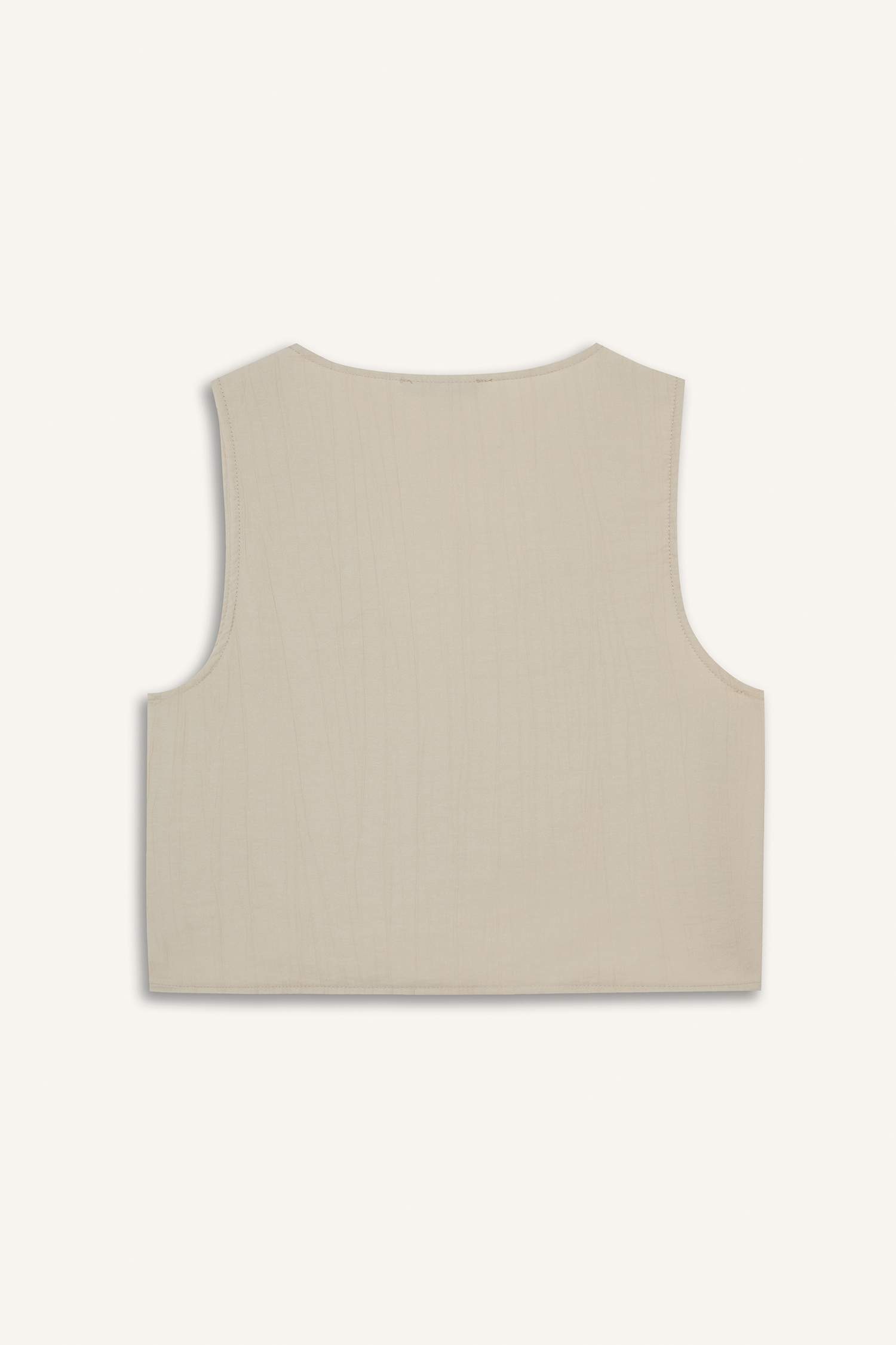 Regular Fit V-Neck Sleeveless Blouse