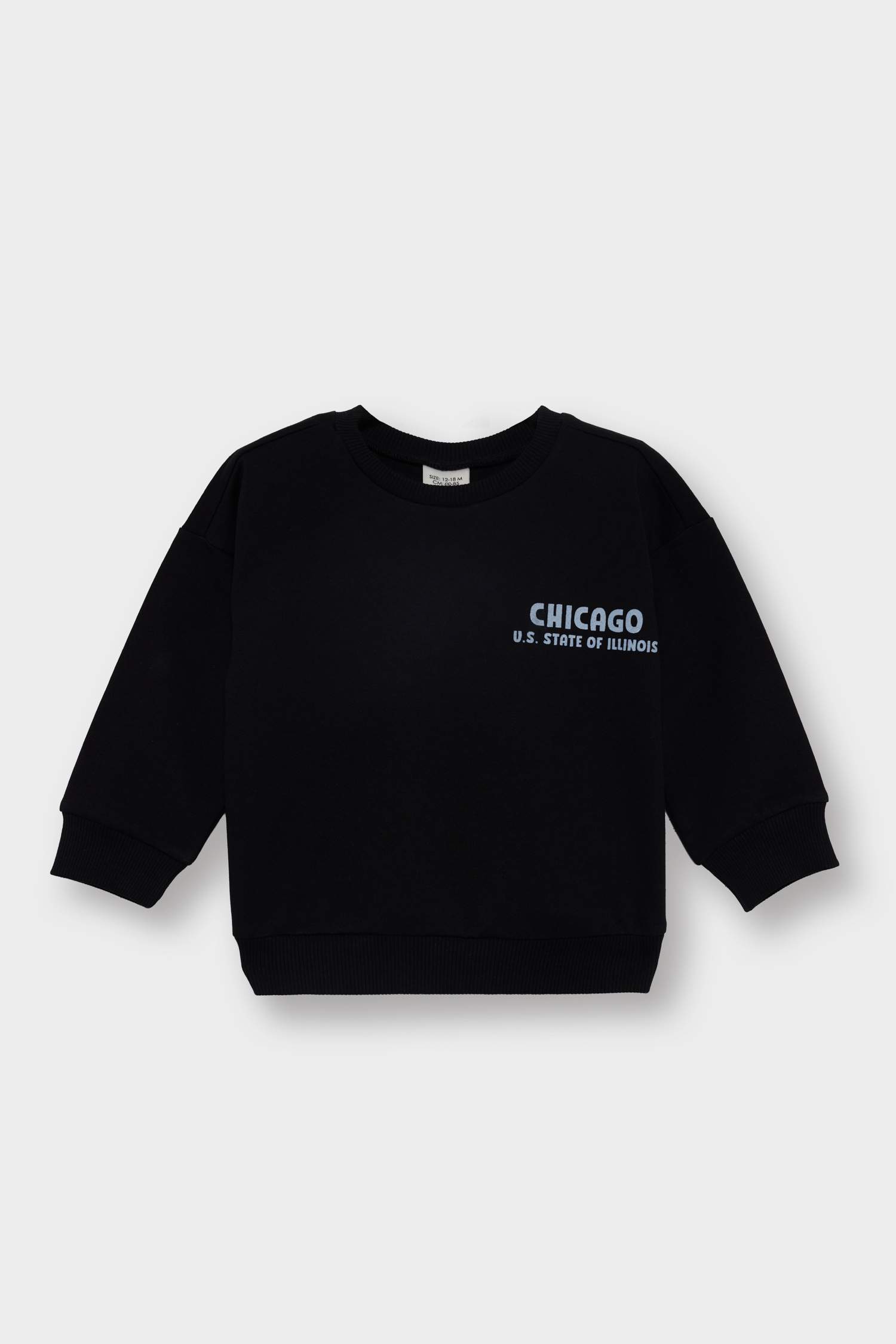 Erkek Bebek Bisiklet Yaka Baskılı İçi Yumuşak Tüylü 2'li Sweatshirt