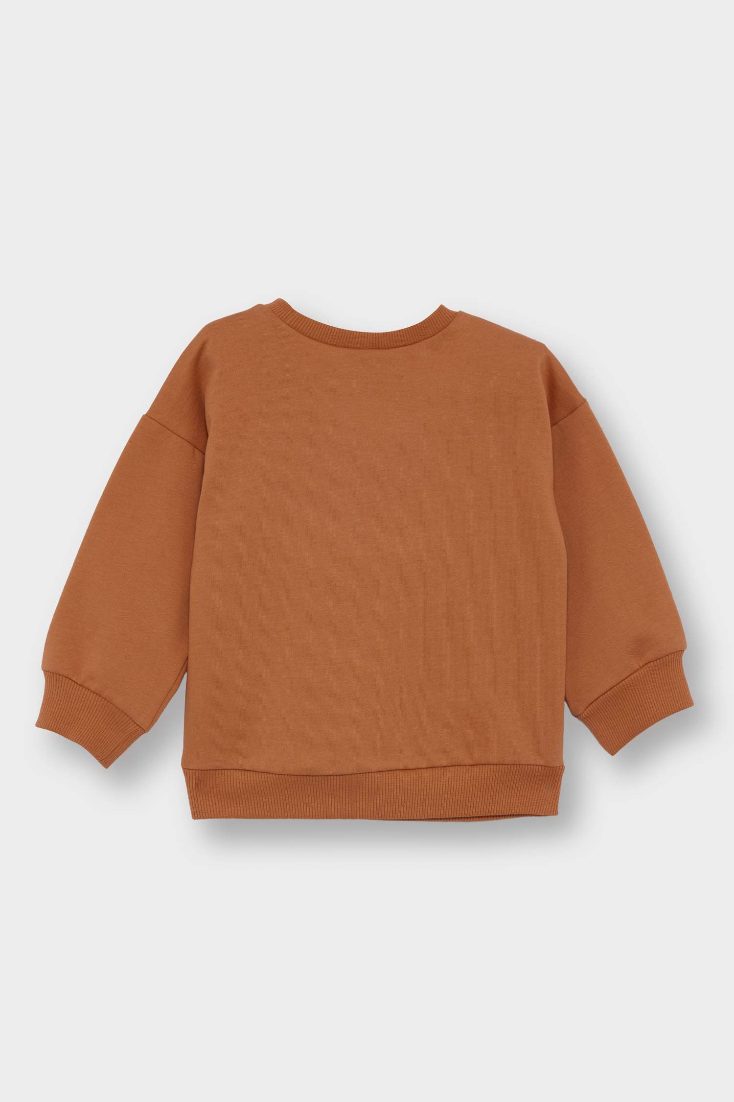 Erkek Bebek Bisiklet Yaka Baskılı İçi Yumuşak Tüylü 2'li Sweatshirt