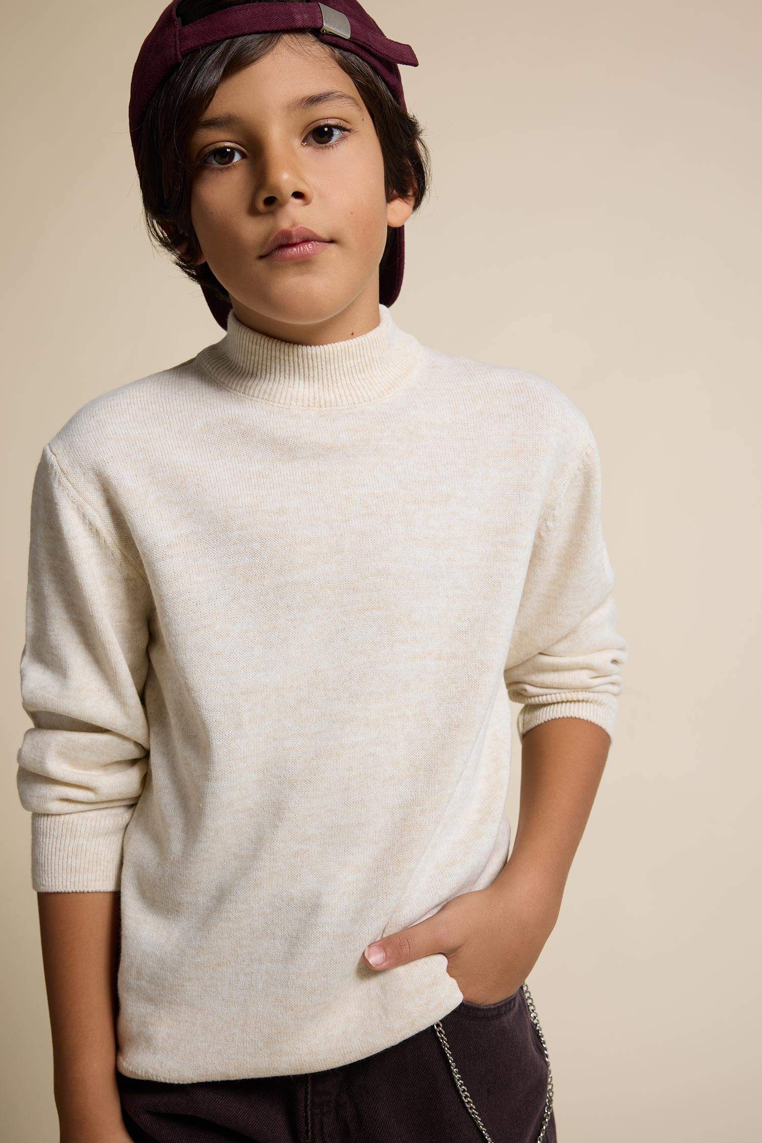 Boy Regular Fit Dog Collar Pullover