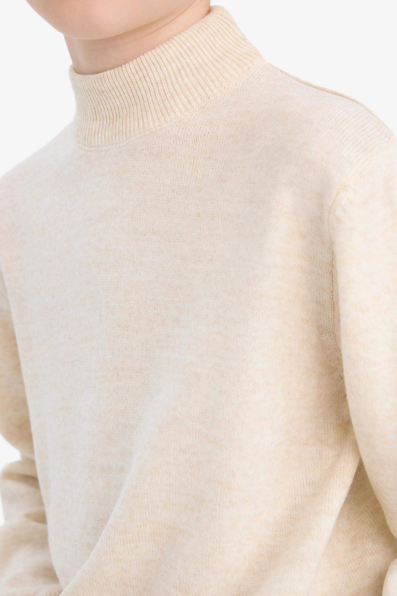 Boy Regular Fit Dog Collar Pullover