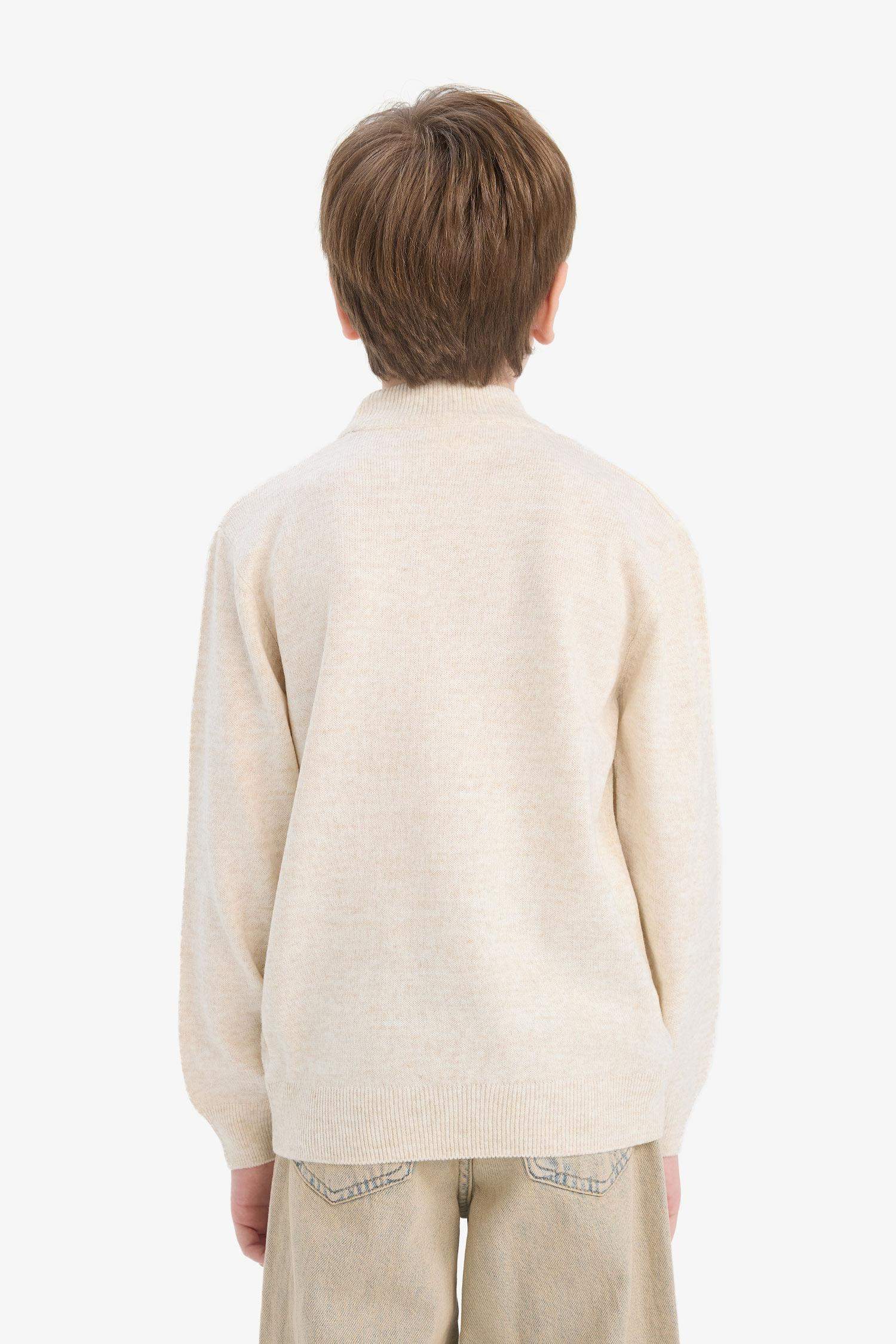 Boy Regular Fit Dog Collar Pullover