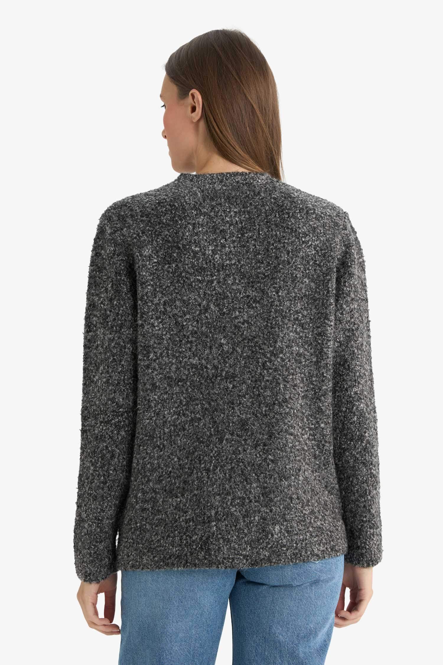 Regular Fit Crew Neck Knitwear Cardigan