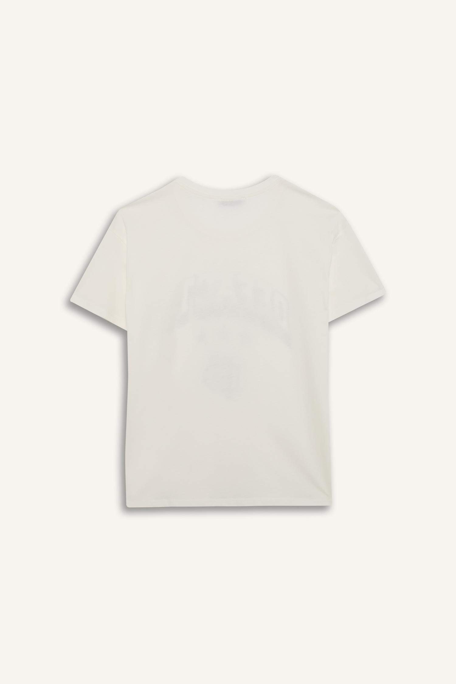 Regular Fit Bisiklet Yaka Baskılı Kısa Kollu Tişört