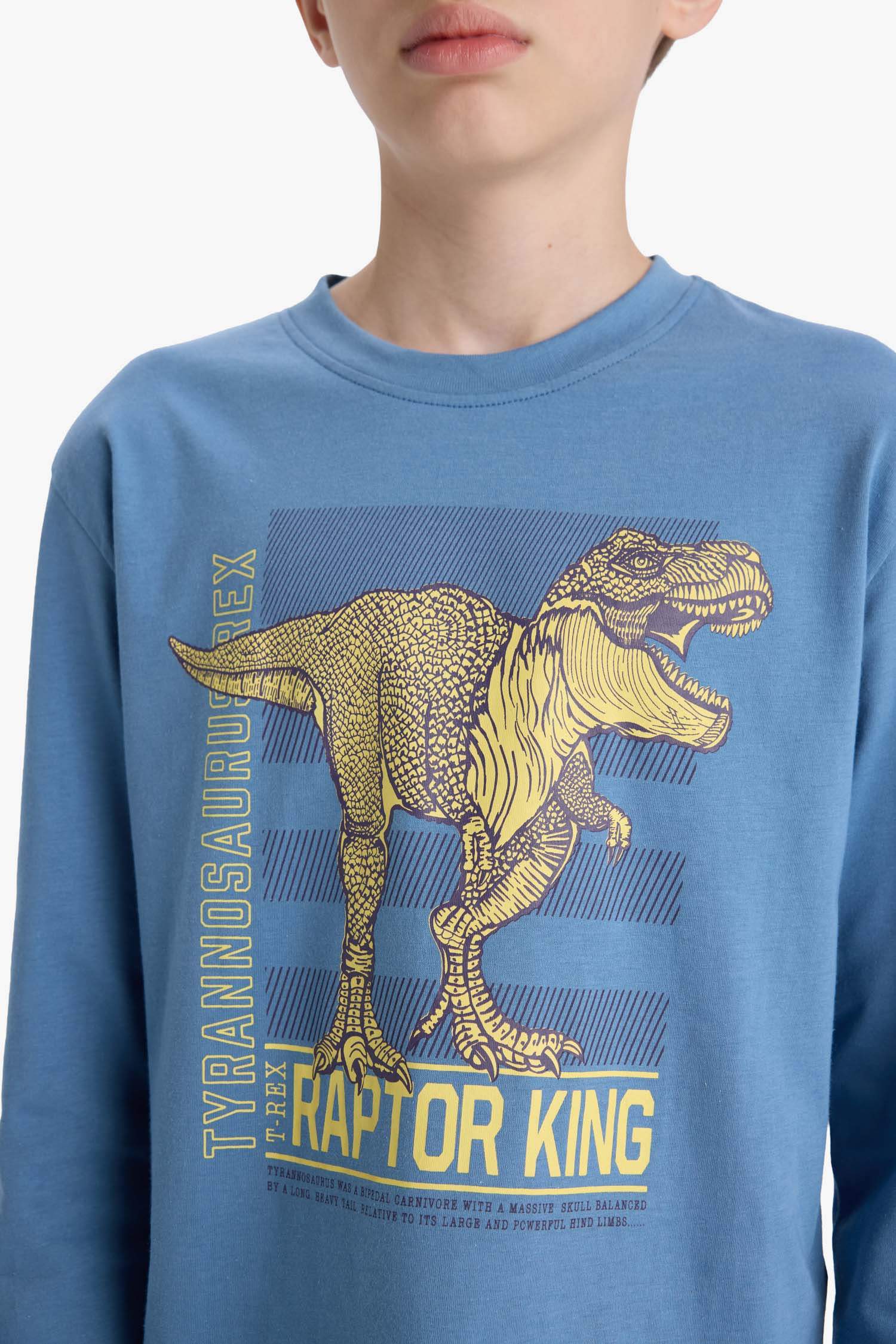 Boy Regular Fit 2 Piece Pajama Set