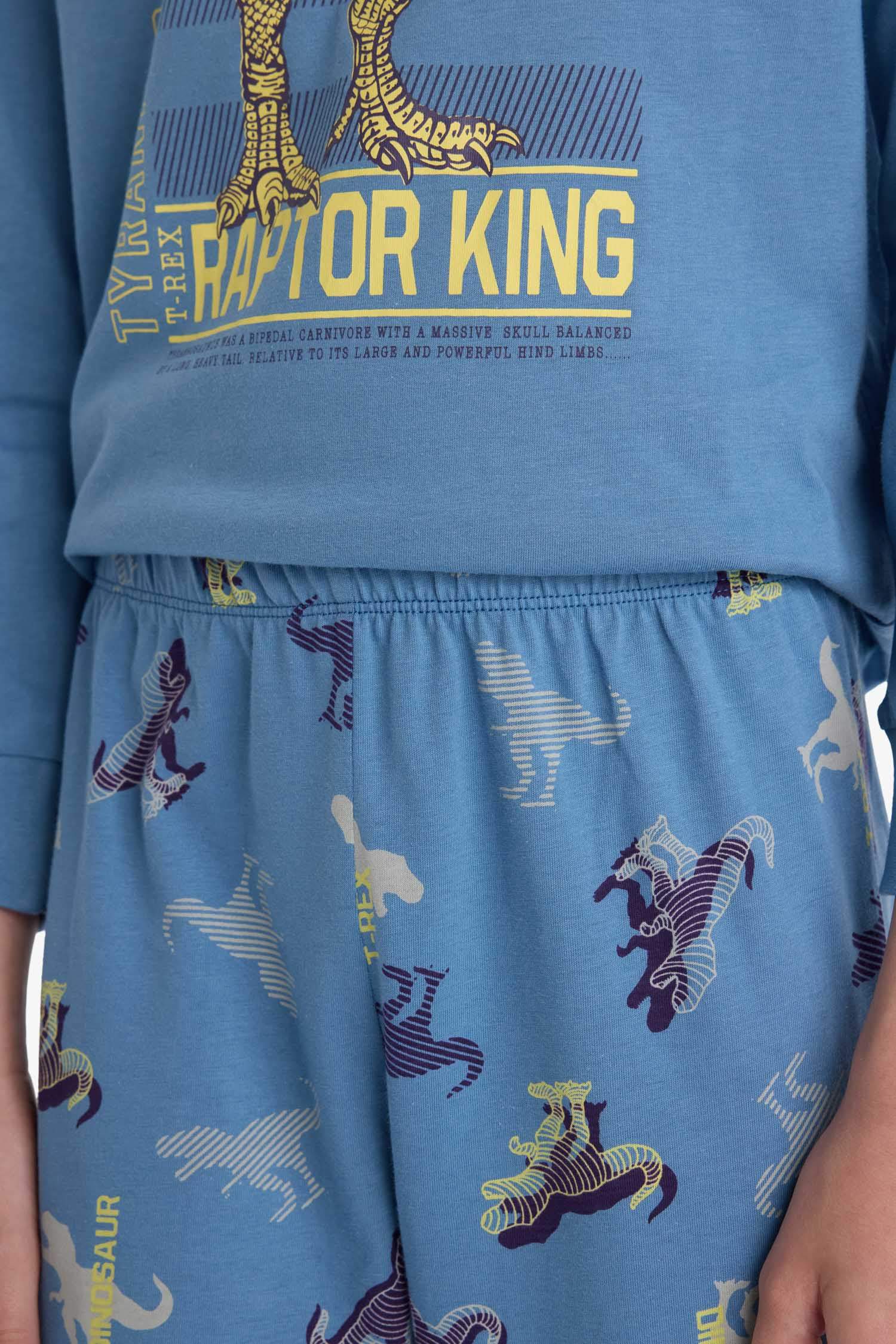 Boy Regular Fit 2 Piece Pajama Set