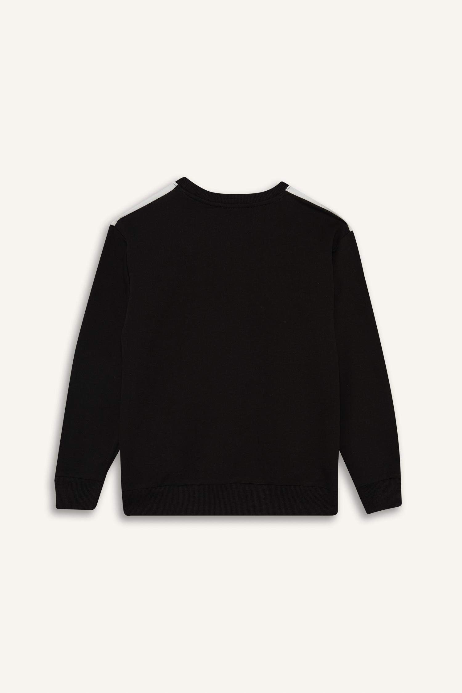 Boy Crew Neck Printed Sweatshirt