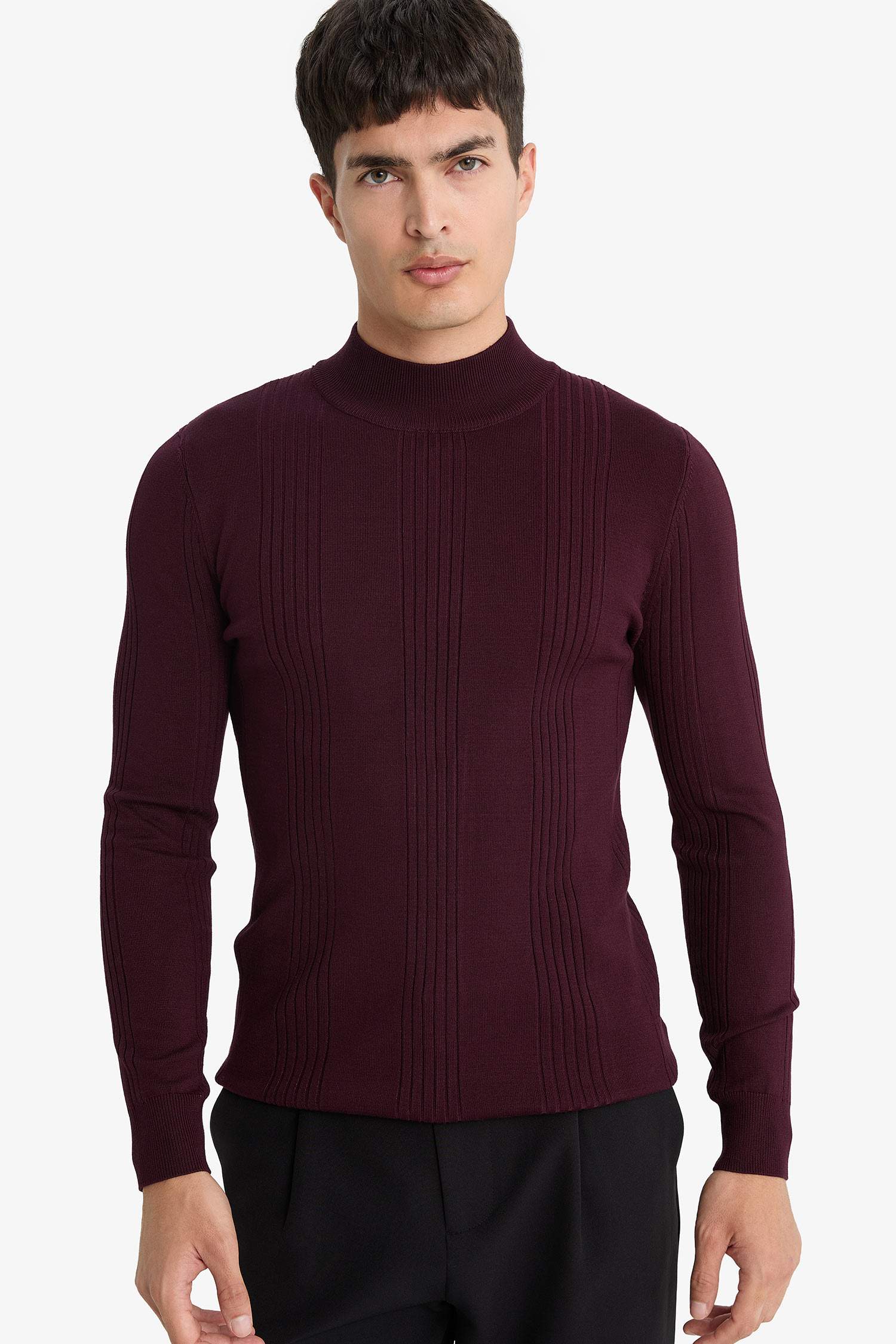 Standard Fit Half Turtleneck Knitwear Pullover