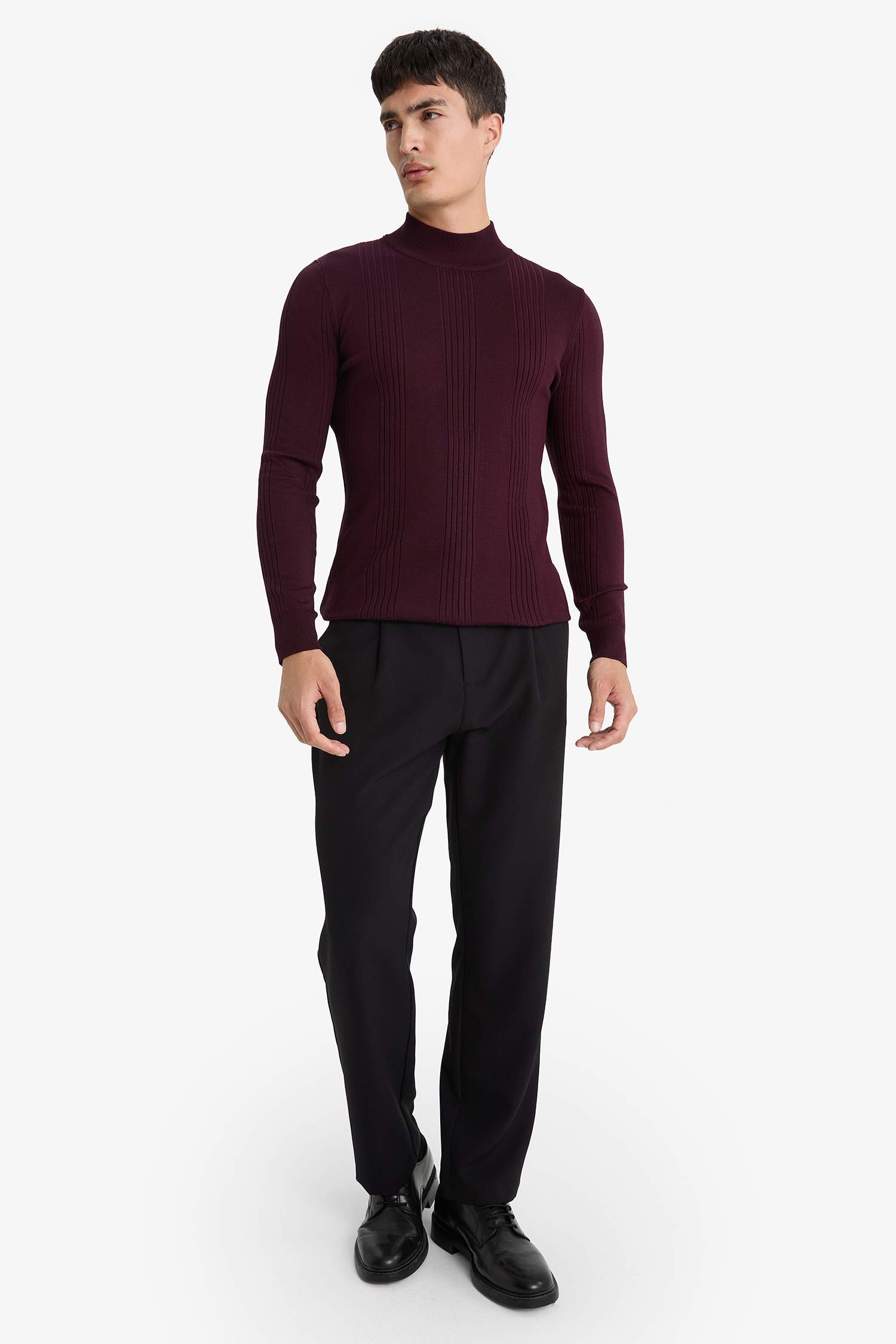 Standard Fit Half Turtleneck Knitwear Pullover
