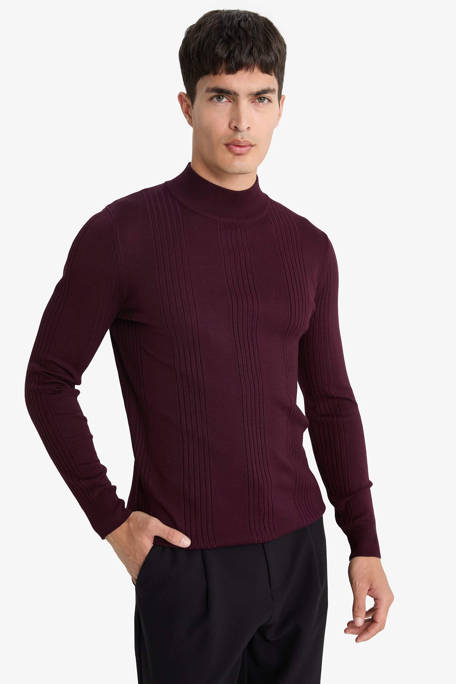 Standard Fit Half Turtleneck Knitwear Pullover