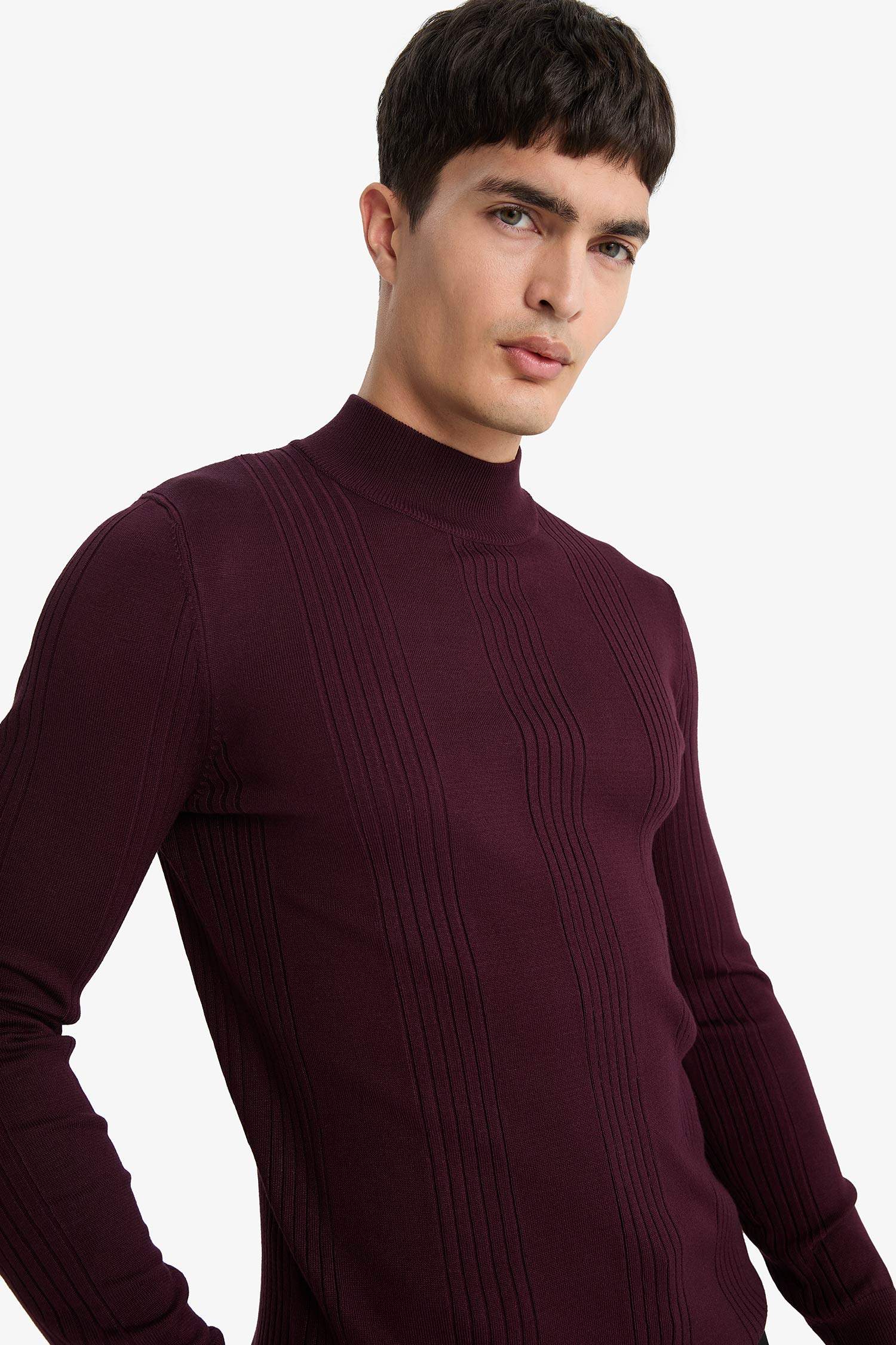 Standard Fit Half Turtleneck Knitwear Pullover