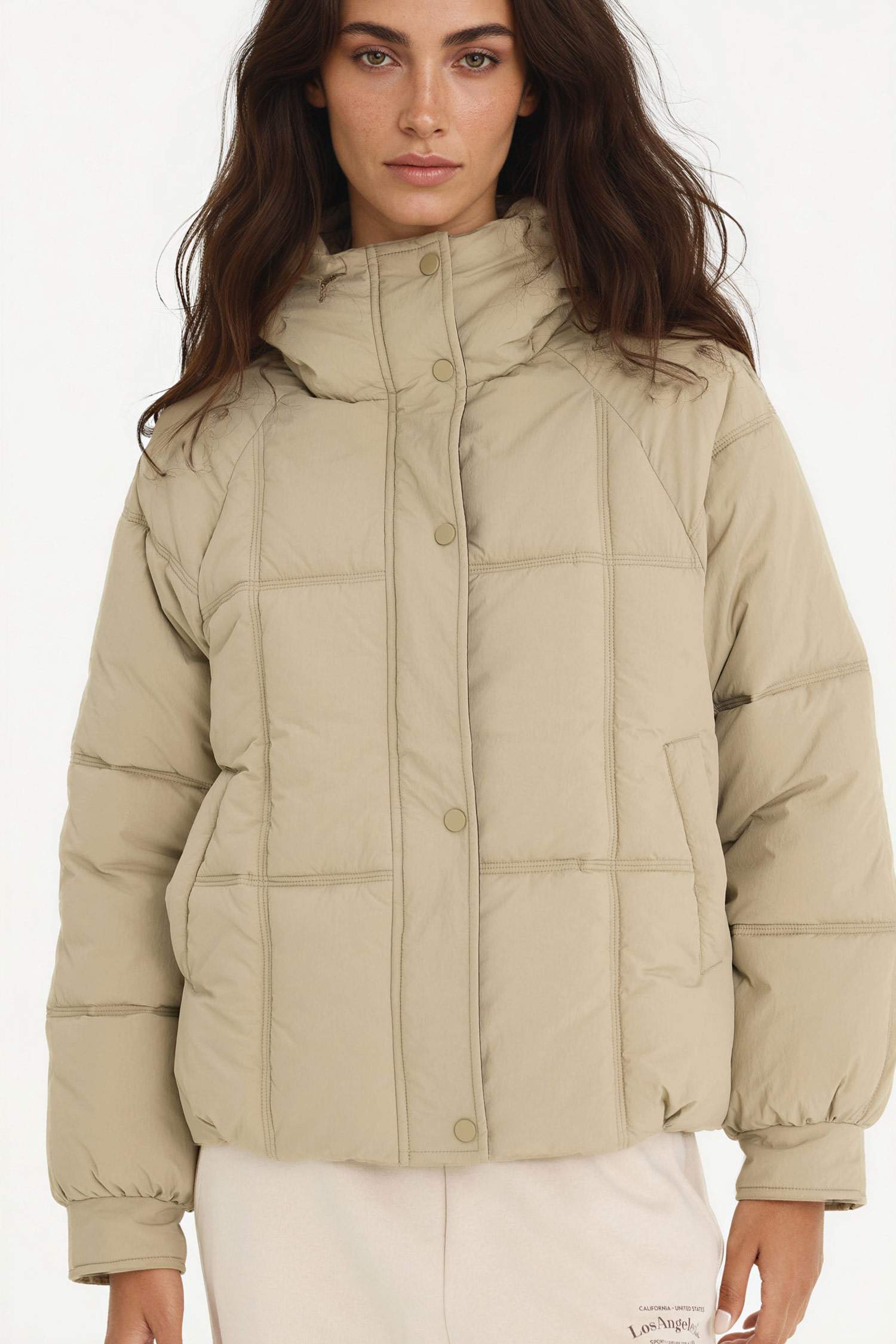 Regular Fit Hooded Zippered Puffer Jacket