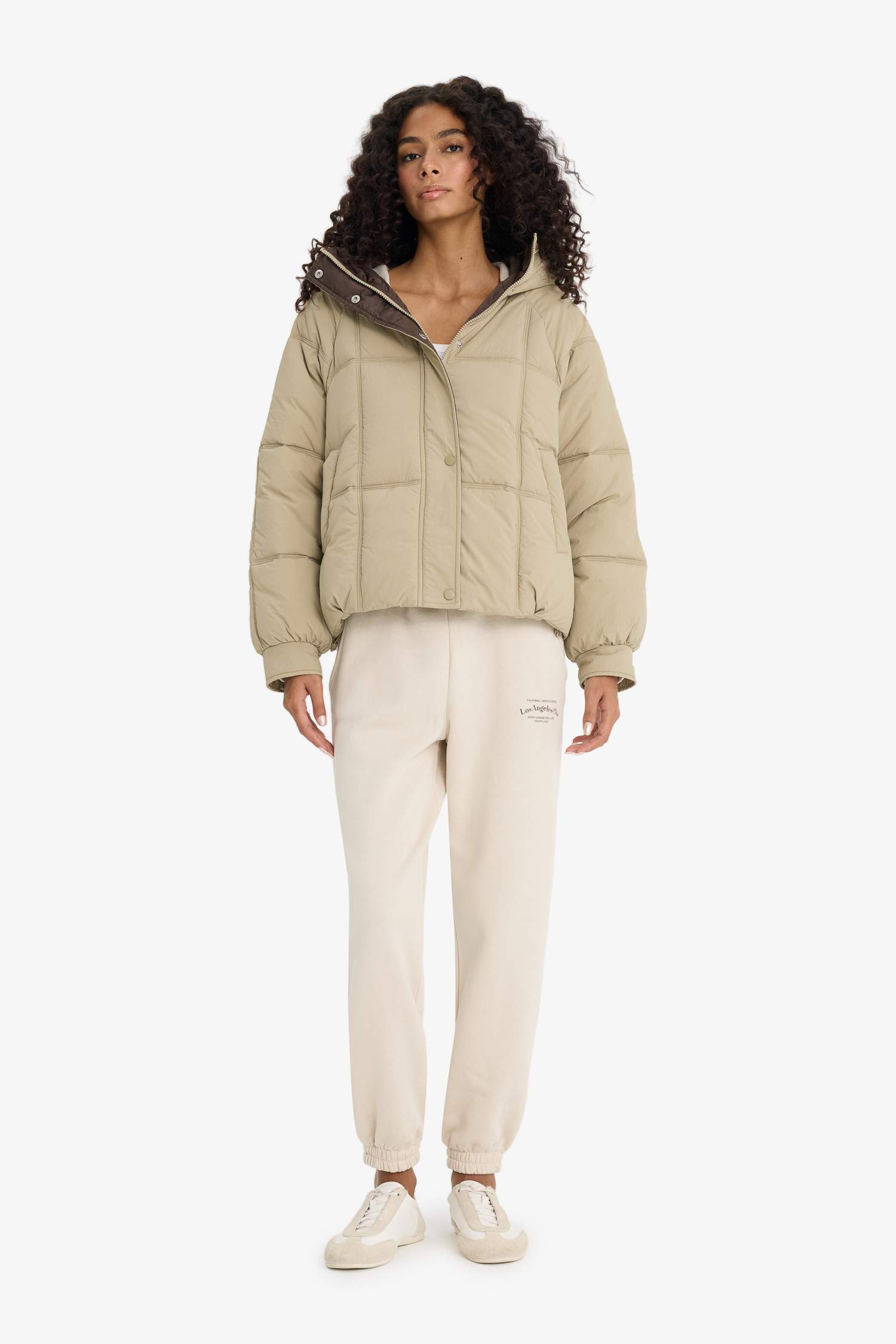 Regular Fit Hooded Zippered Puffer Jacket