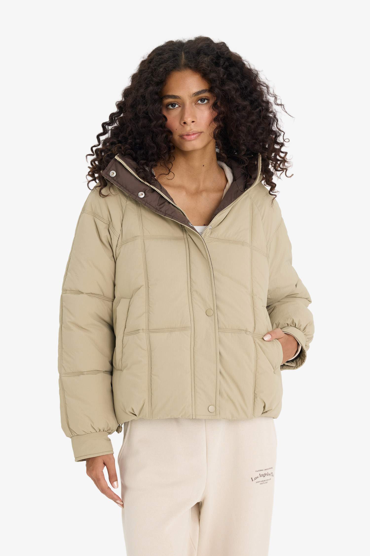 Regular Fit Hooded Zippered Puffer Jacket
