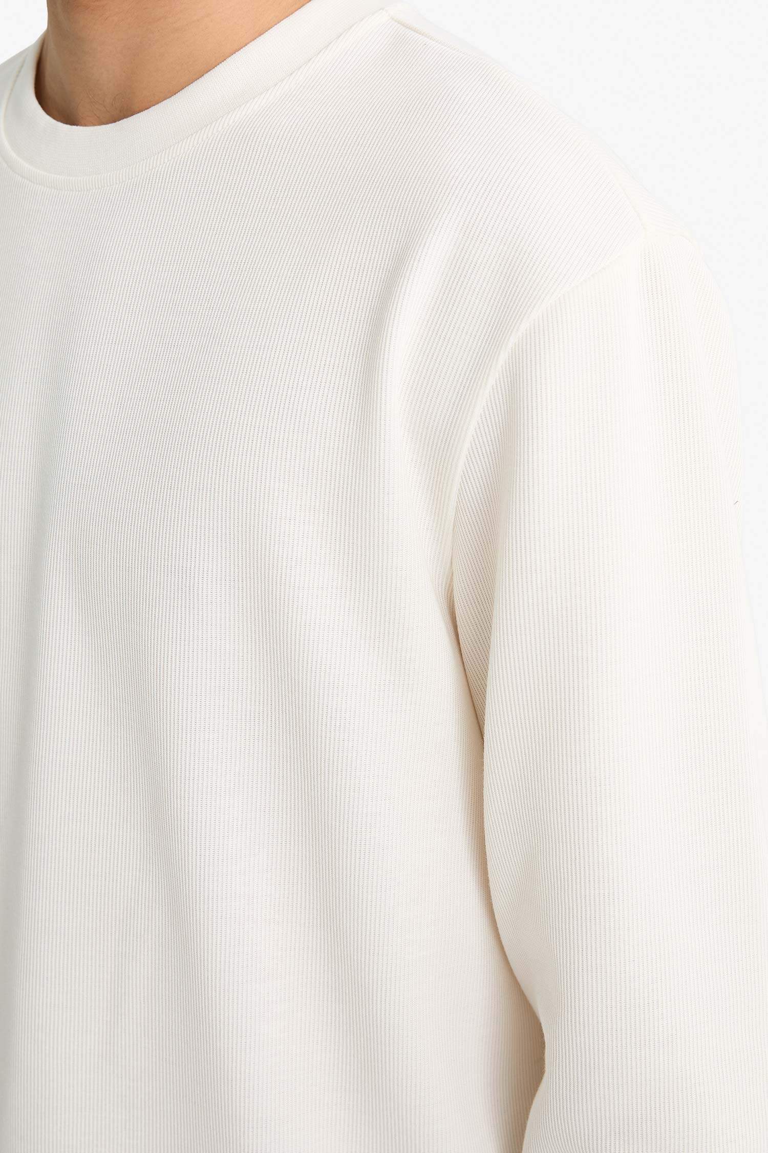 Regular Fit Crew Neck Long Sleeve Body