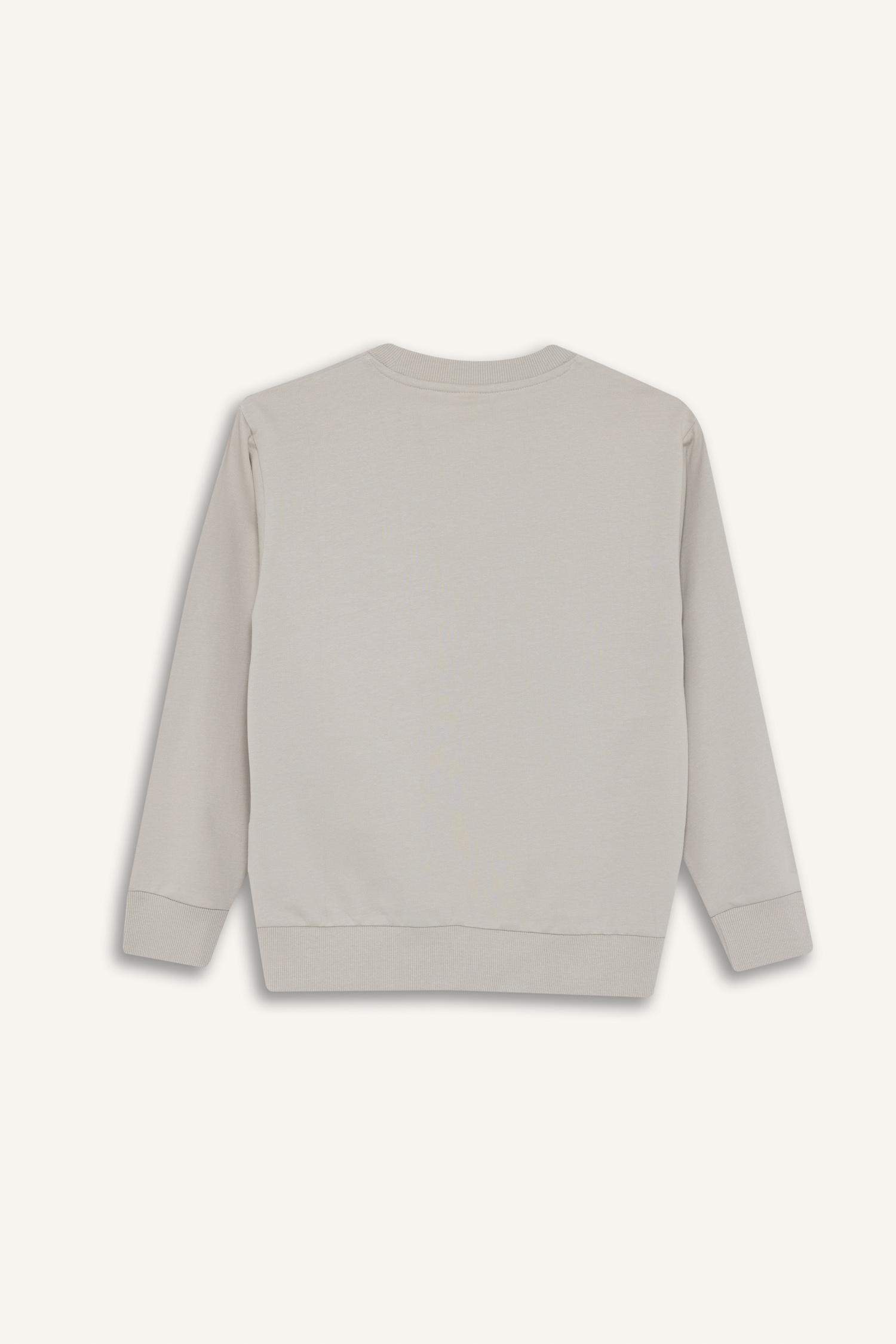 Толстовка для мальчика прямого кроя с круглым вырезом, однотонная