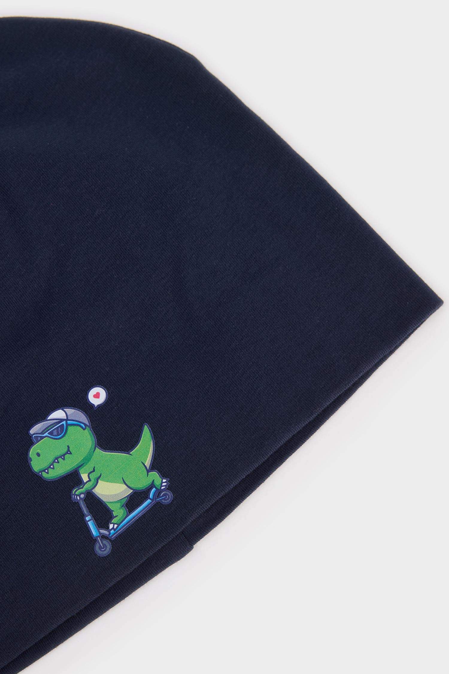 Erkek Çocuk Baskılı Pamuklu Bere