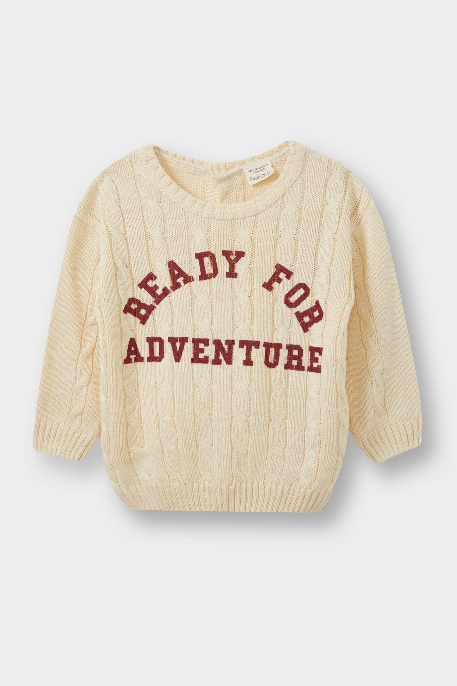 Baby Boy Crew Neck Printed Pullover