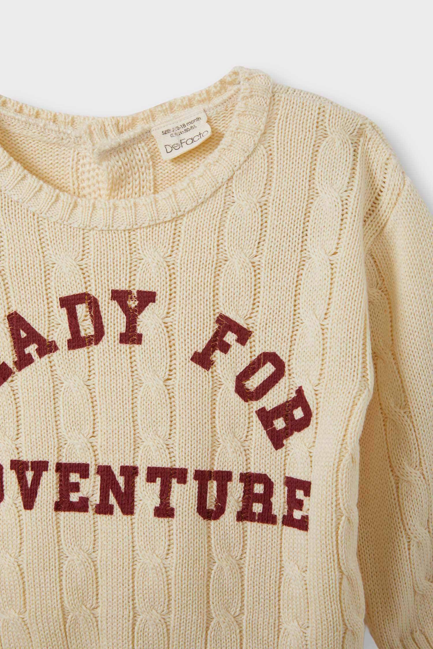 Baby Boy Crew Neck Printed Pullover